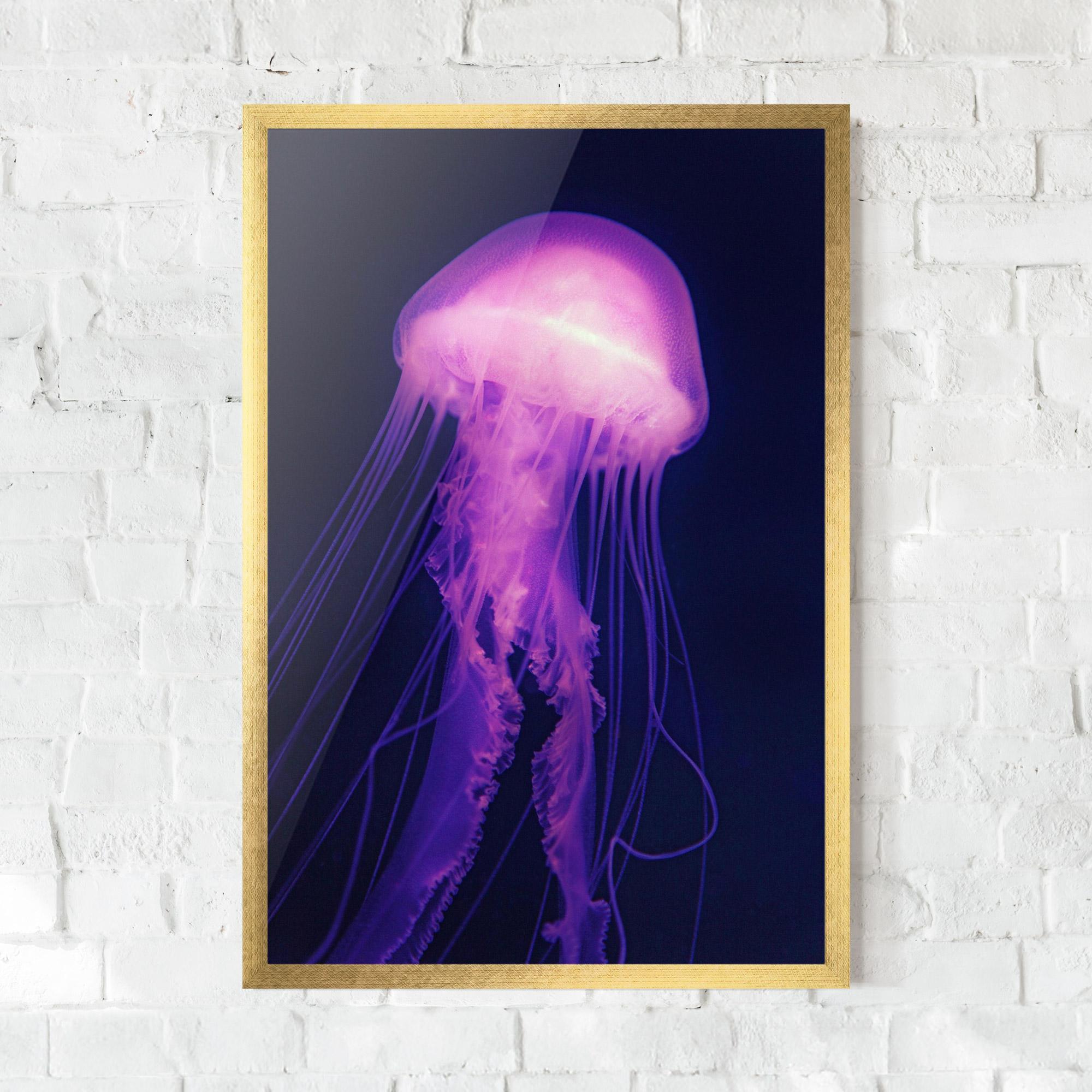 Gerahmte Poster Light Purple Jellyfish mockup 0