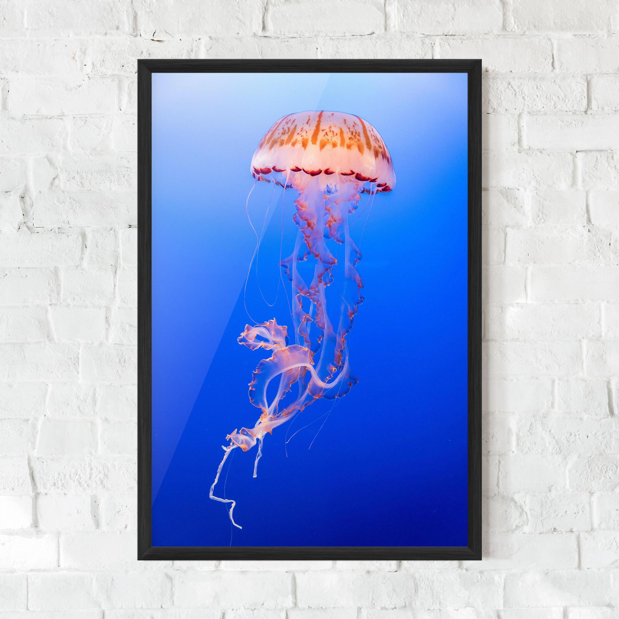 Gerahmte Poster Pretty White Jellyfish mockup 0