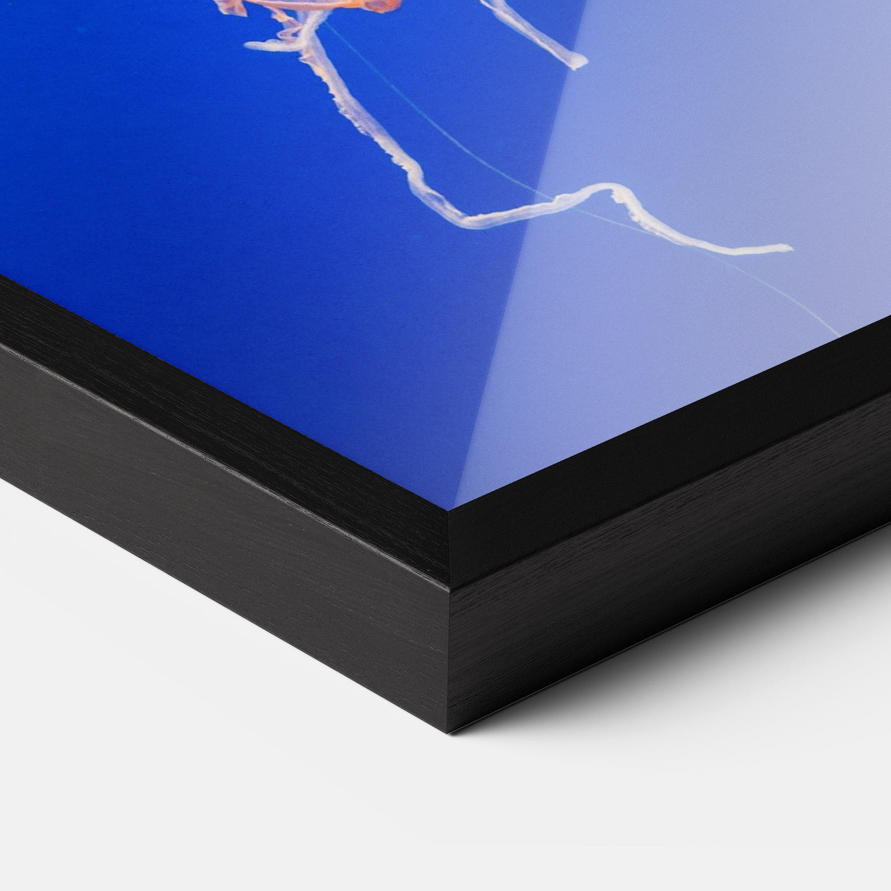 Gerahmte Poster Pretty White Jellyfish mockup 3