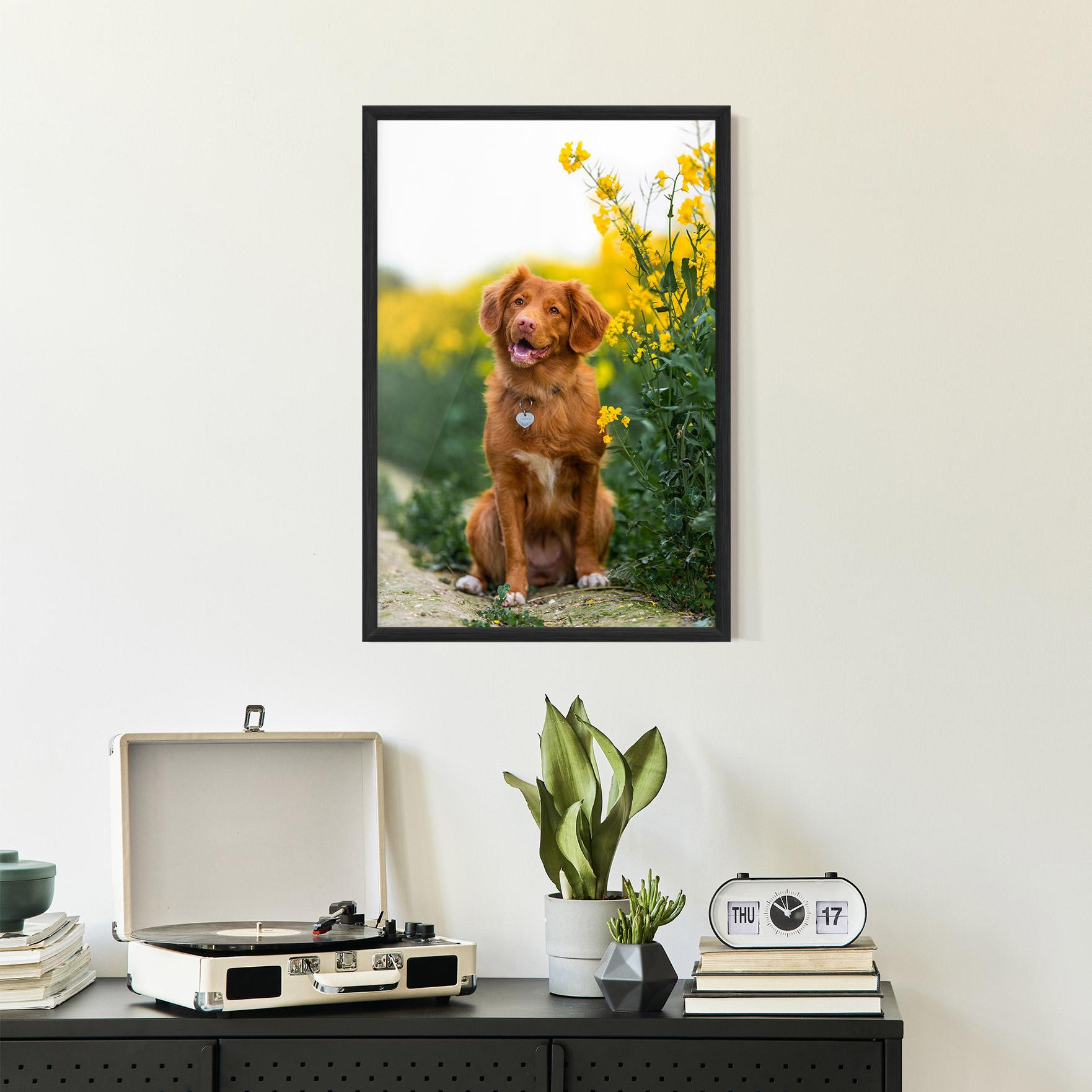 Gerahmte Poster Dog Yellow Flowers mockup 2