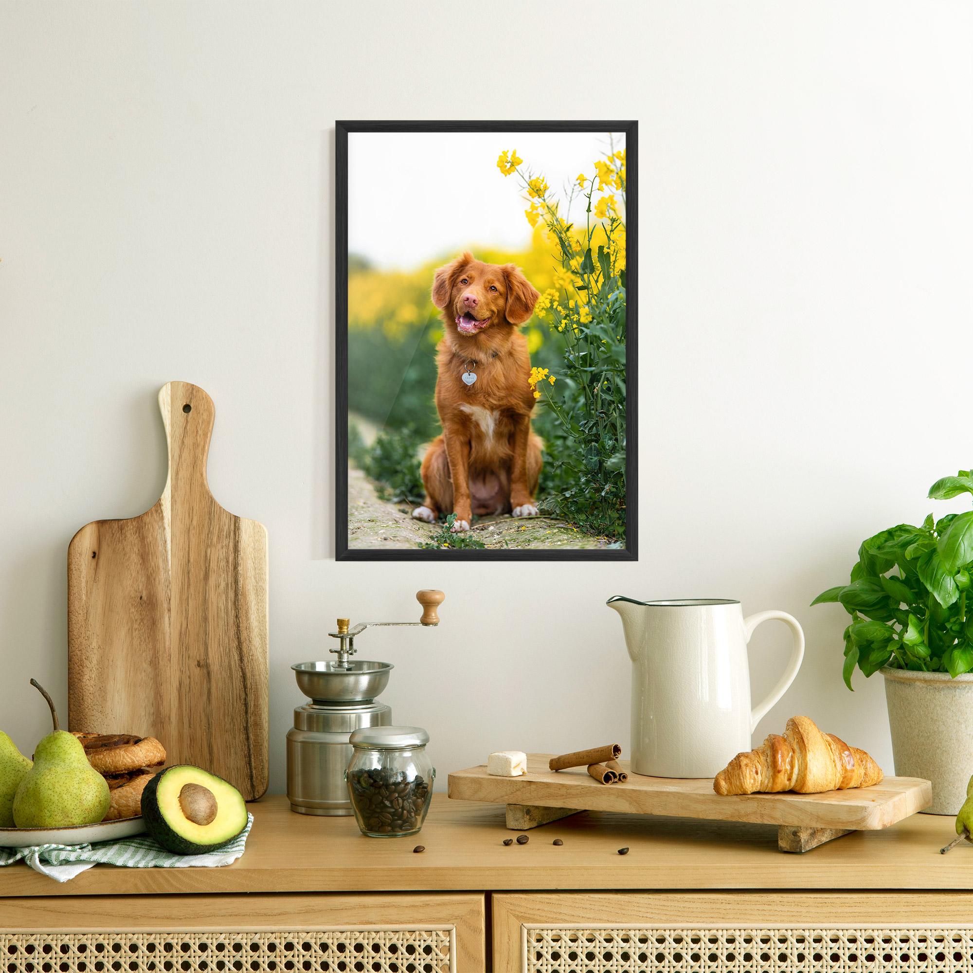 Gerahmte Poster Dog Yellow Flowers mockup 8
