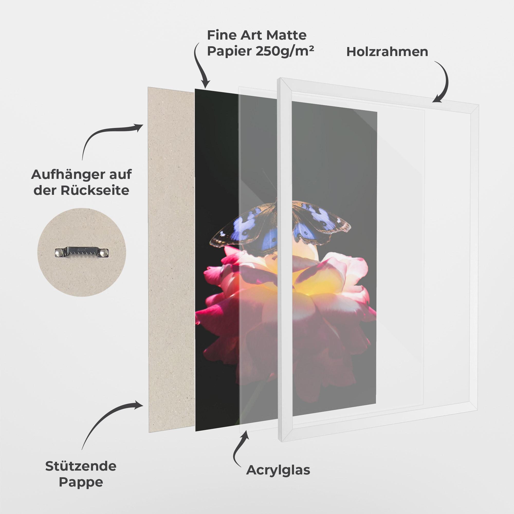 Gerahmte Poster Rose Butterfly mockup 1