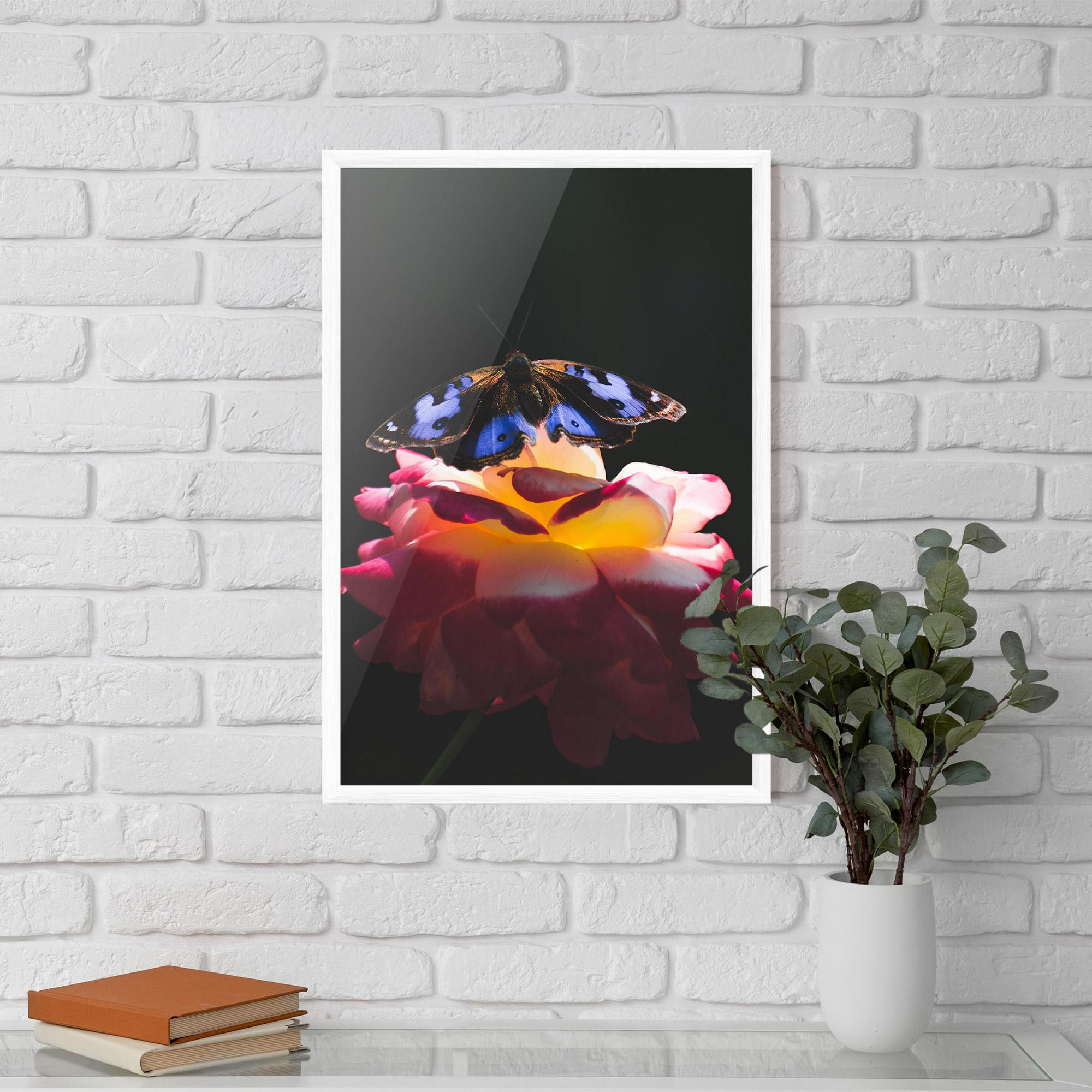 Gerahmte Poster Rose Butterfly mockup 5