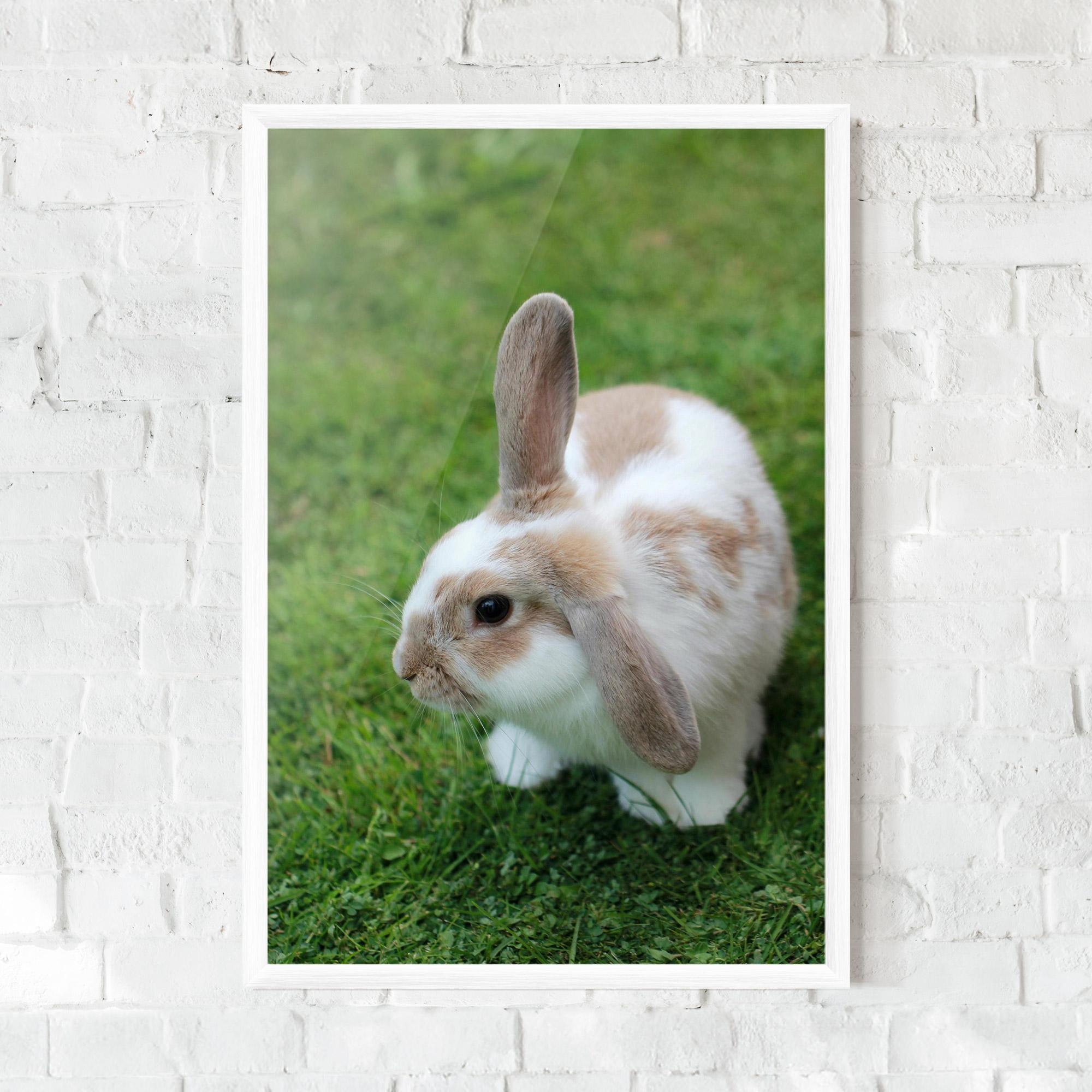 Gerahmte Poster Light Orange Bunny mockup 0