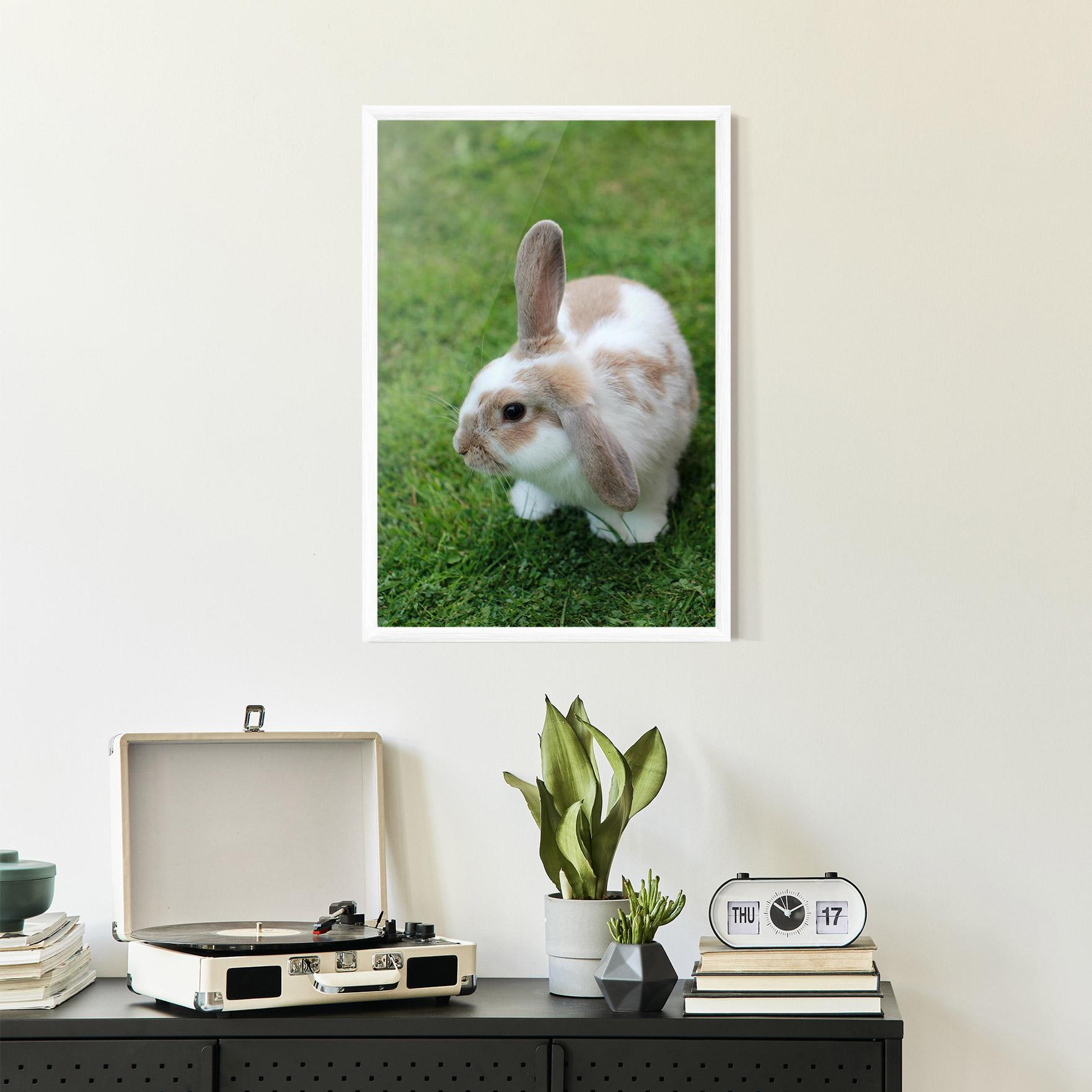 Gerahmte Poster Light Orange Bunny mockup 2