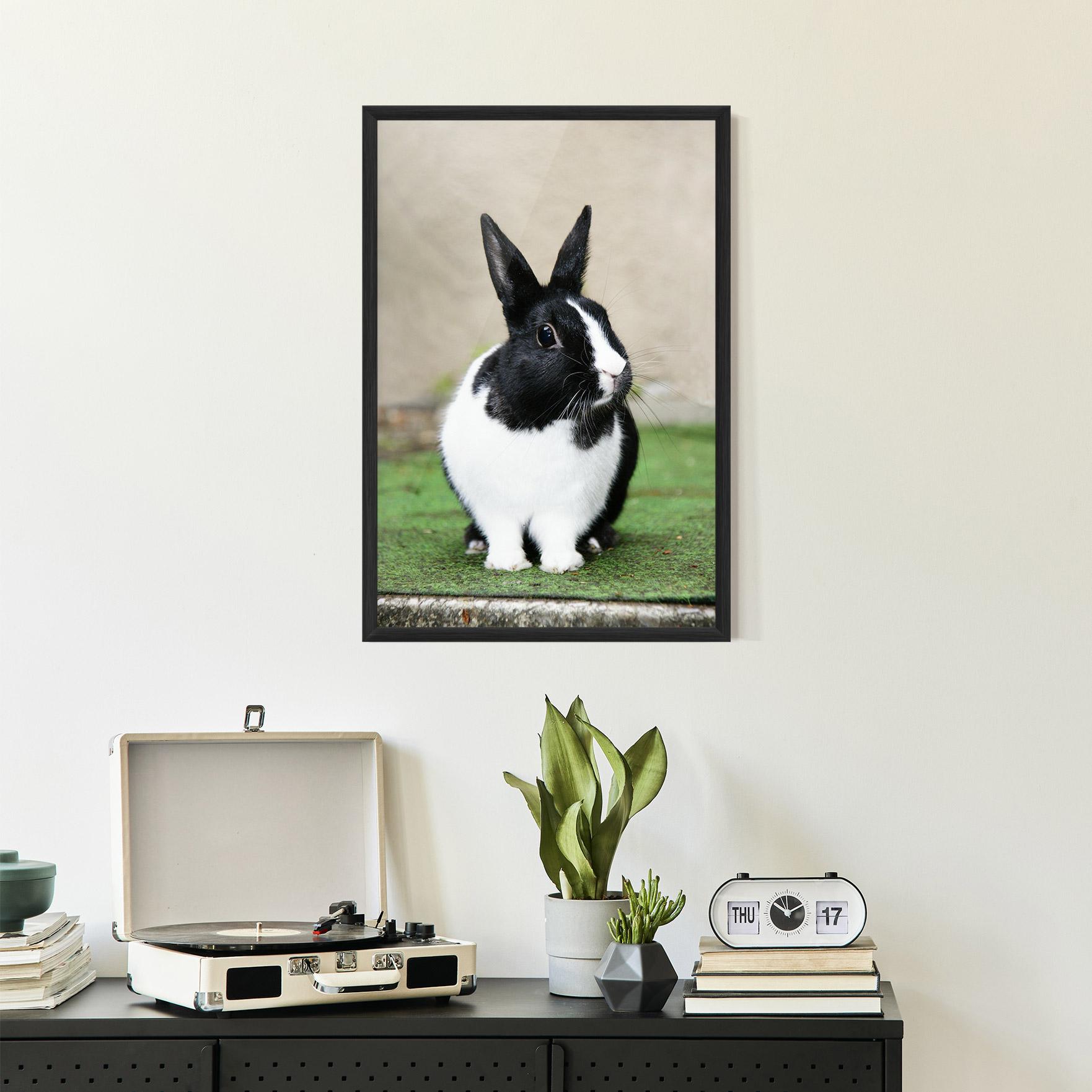 Gerahmte Poster Black Ear Rabbit mockup 2