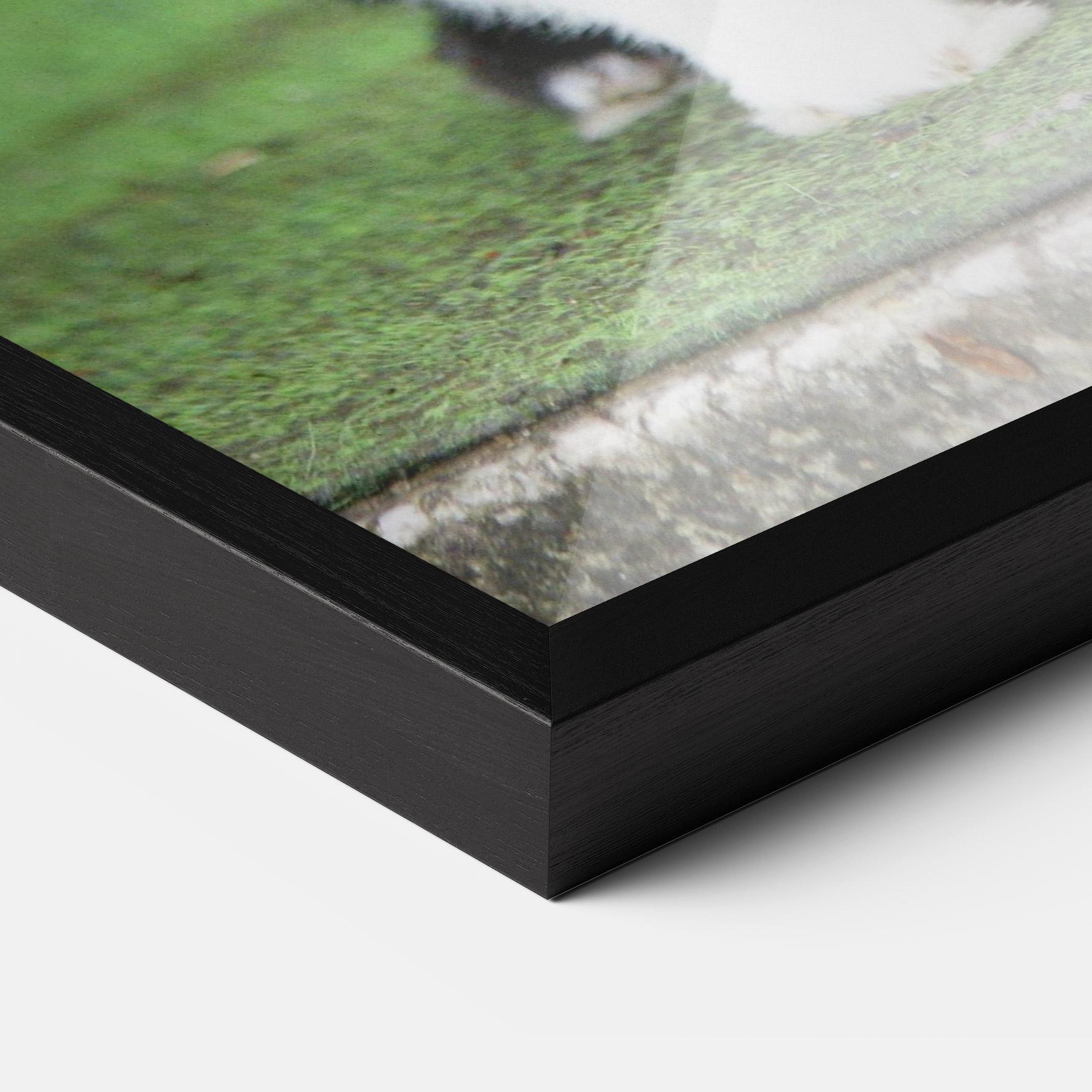 Gerahmte Poster Black Ear Rabbit mockup 3