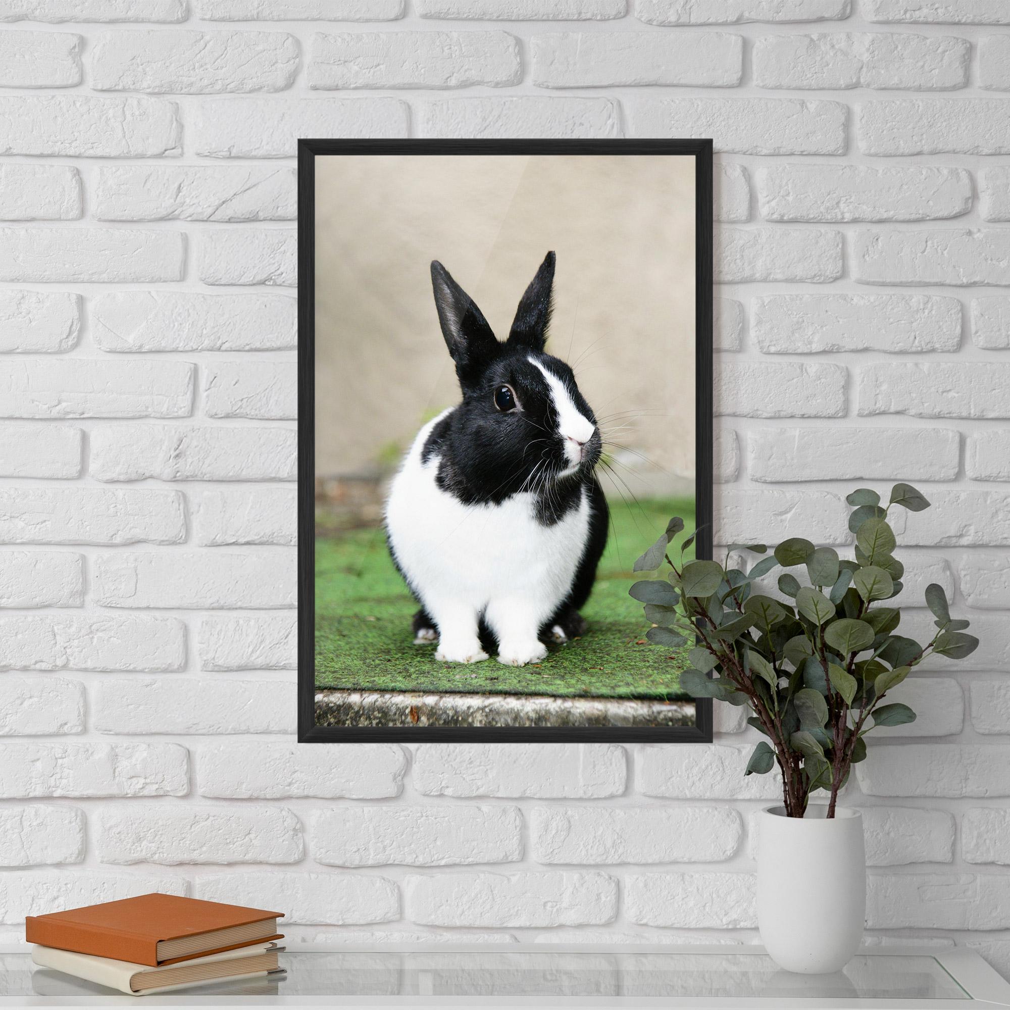 Gerahmte Poster Black Ear Rabbit mockup 5