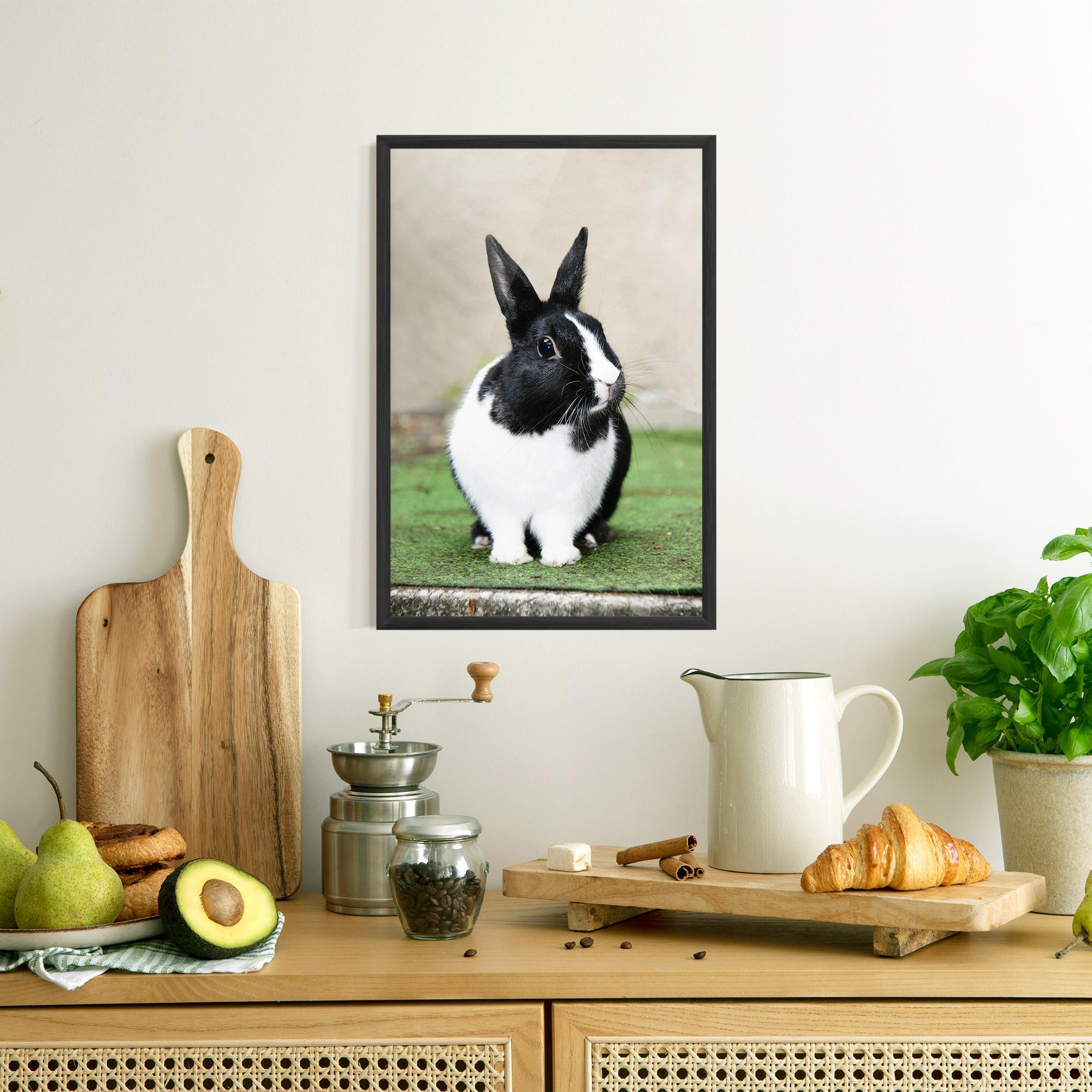 Gerahmte Poster Black Ear Rabbit mockup 8