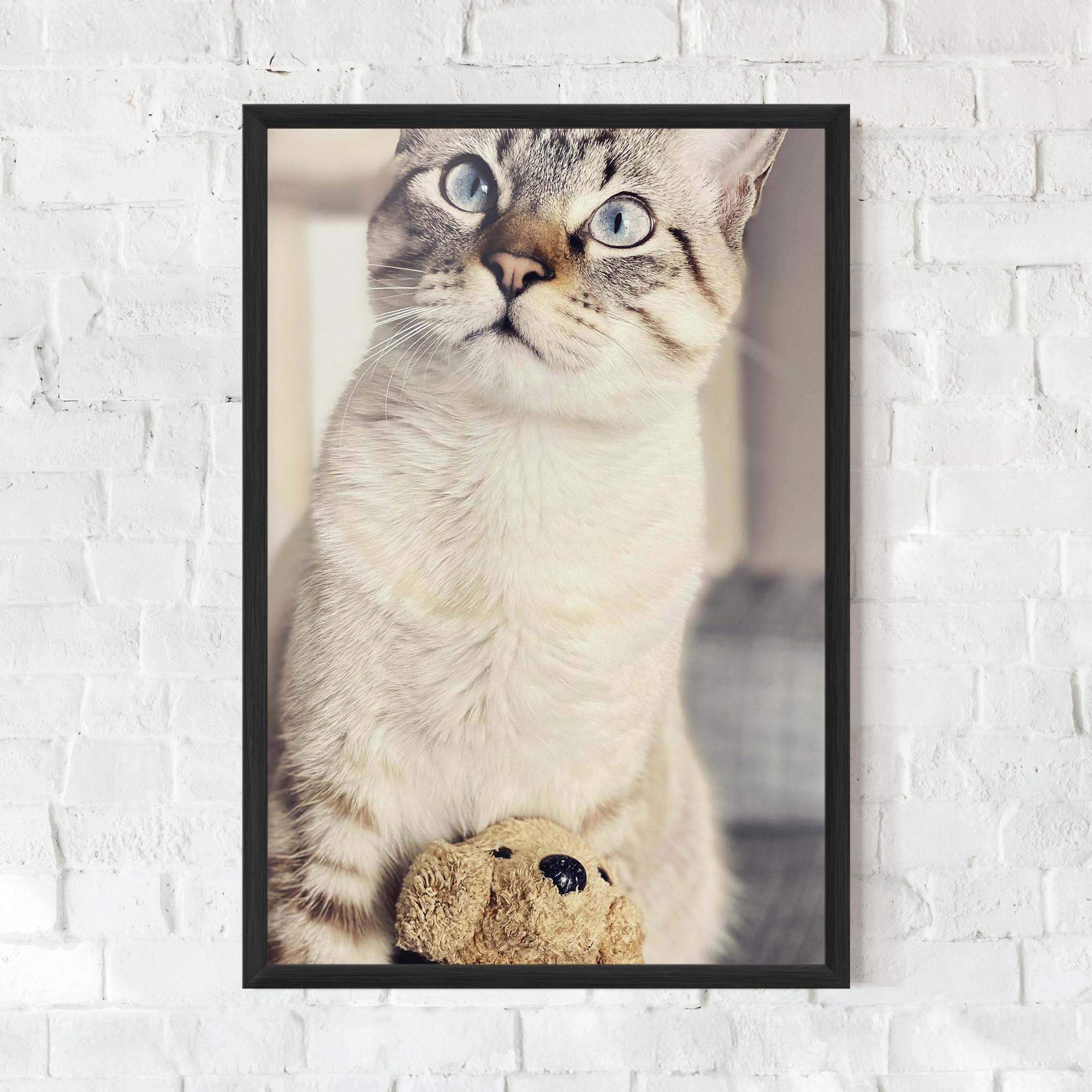 Gerahmte Poster Pretty Blue Eyes Cat mockup 0