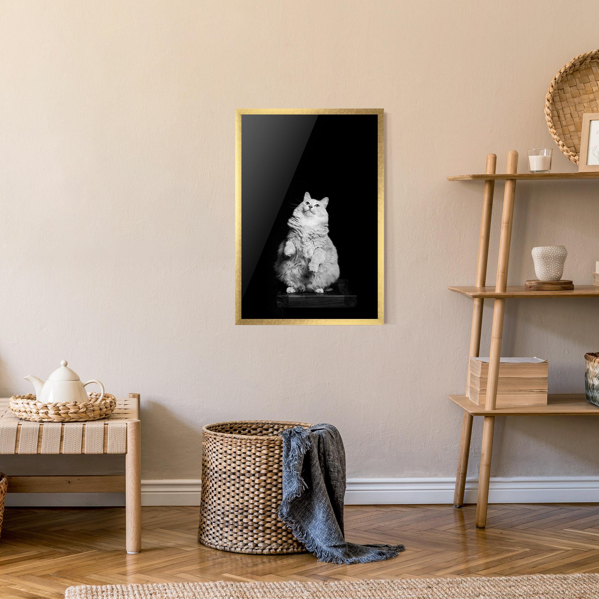 Gerahmte Poster Big Fluffy Cat mockup 9
