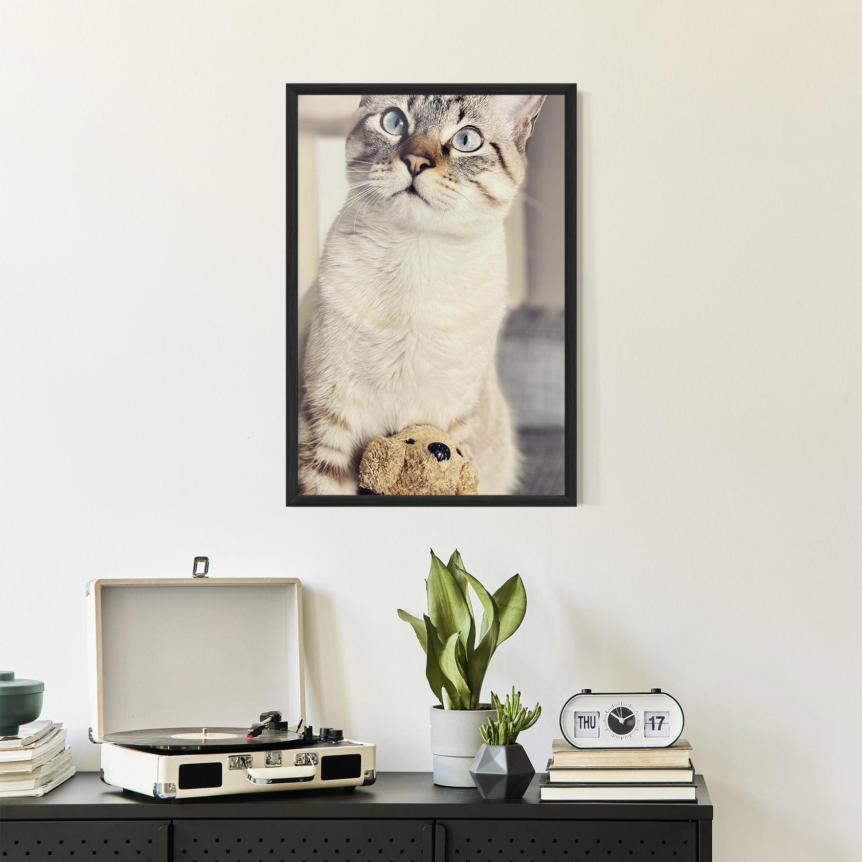 Gerahmte Poster Pretty Blue Eyes Cat mockup 2