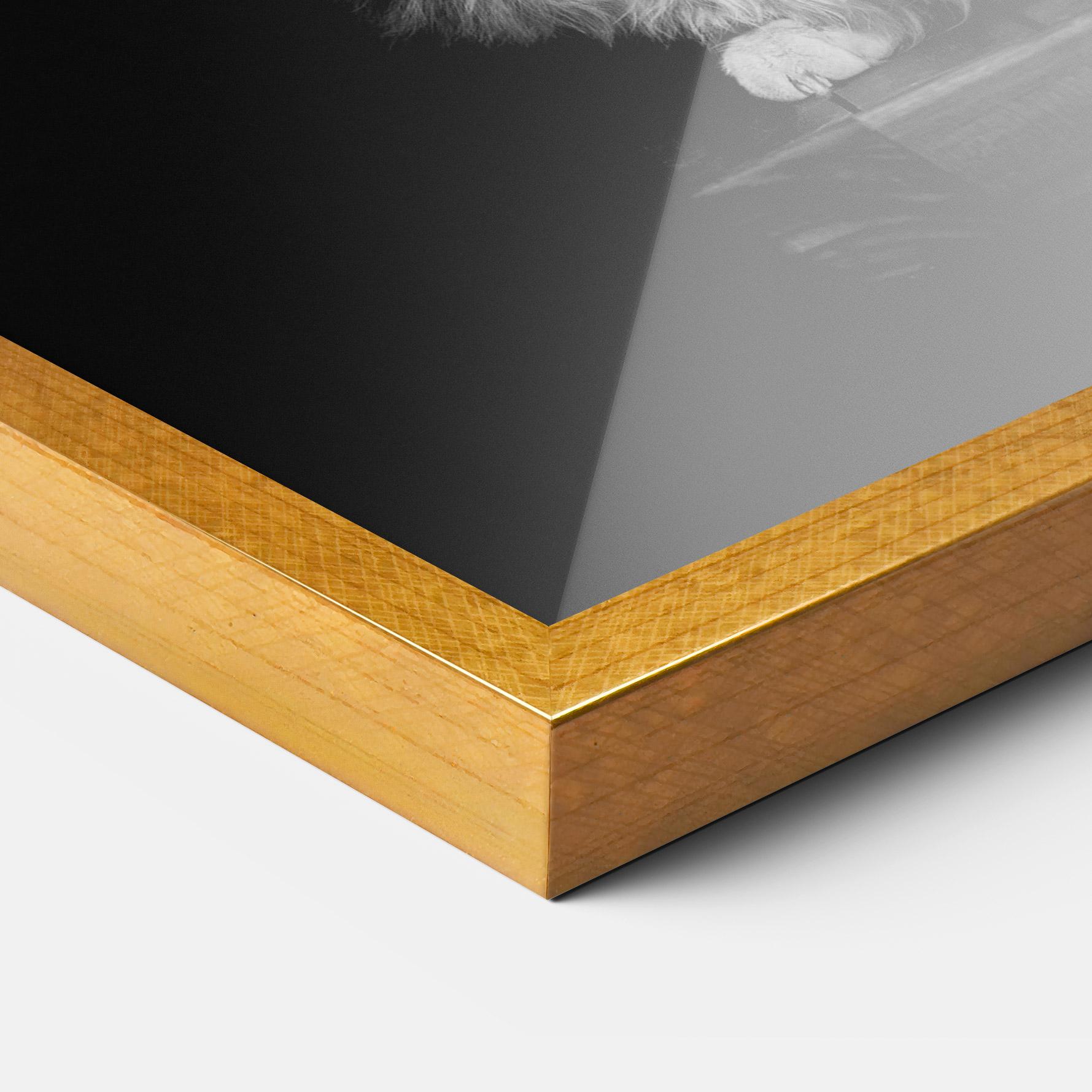 Gerahmte Poster Big Fluffy Cat mockup 3