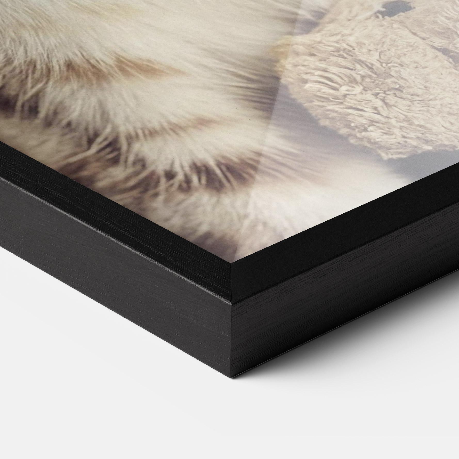 Gerahmte Poster Pretty Blue Eyes Cat mockup 3