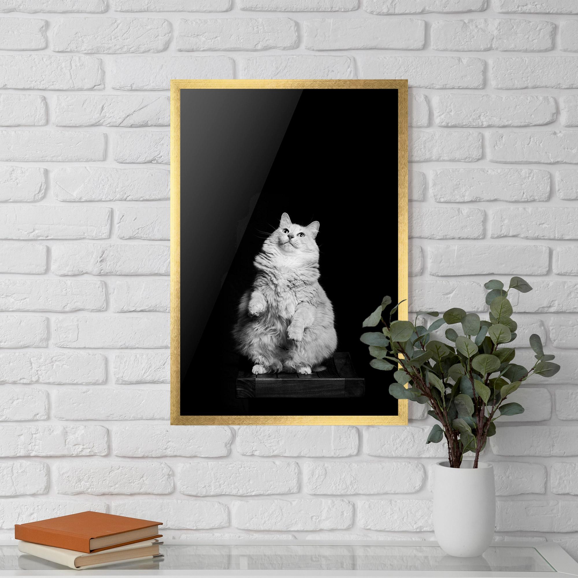 Gerahmte Poster Big Fluffy Cat mockup 5