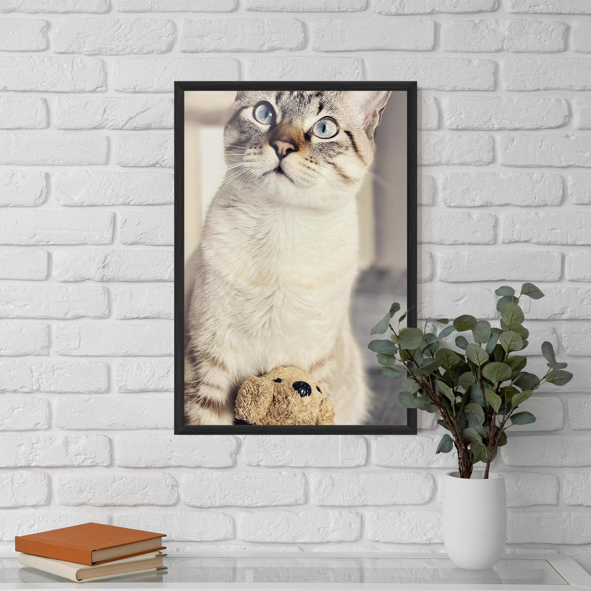 Gerahmte Poster Pretty Blue Eyes Cat mockup 5