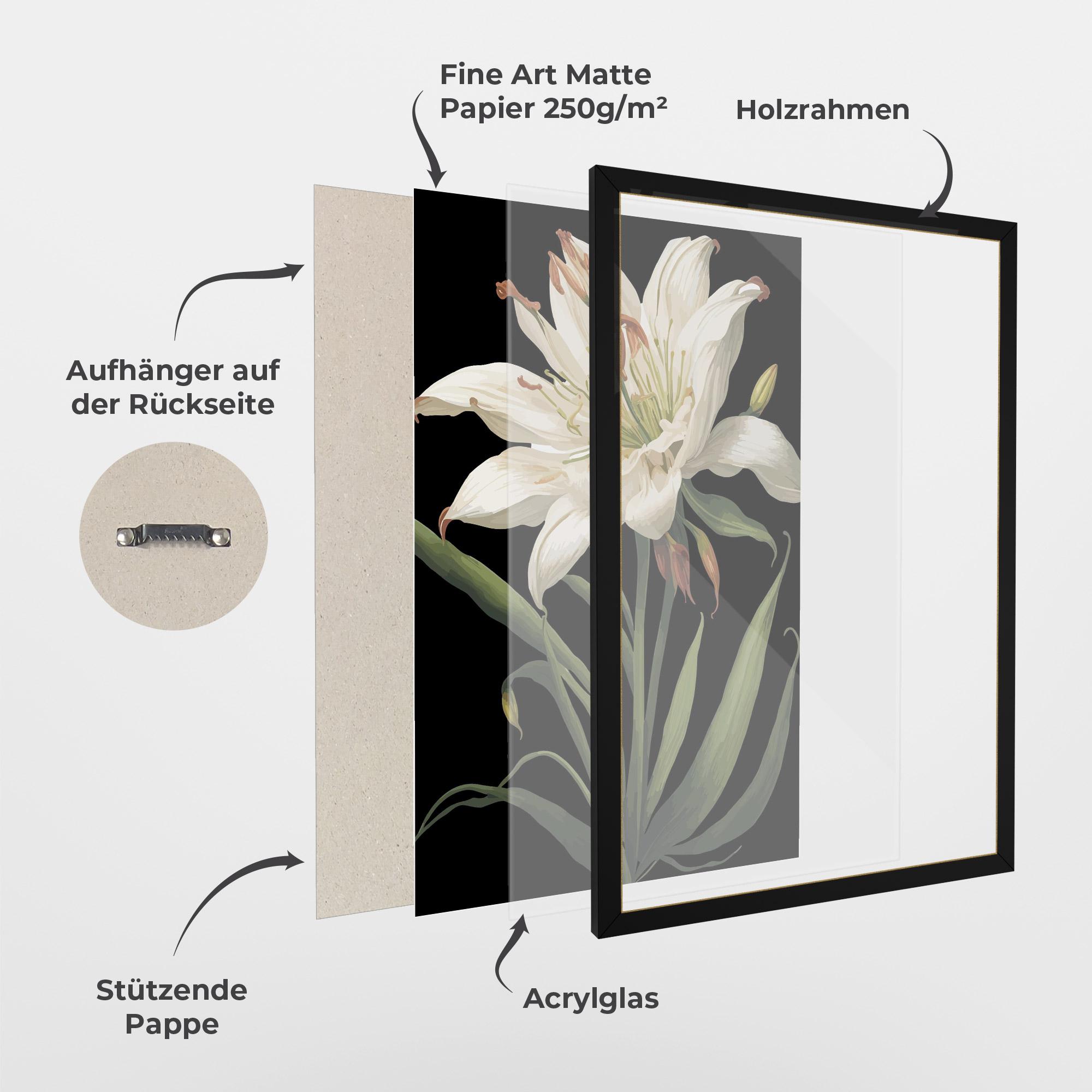 Gerahmte Poster Columbia White Lily mockup 1