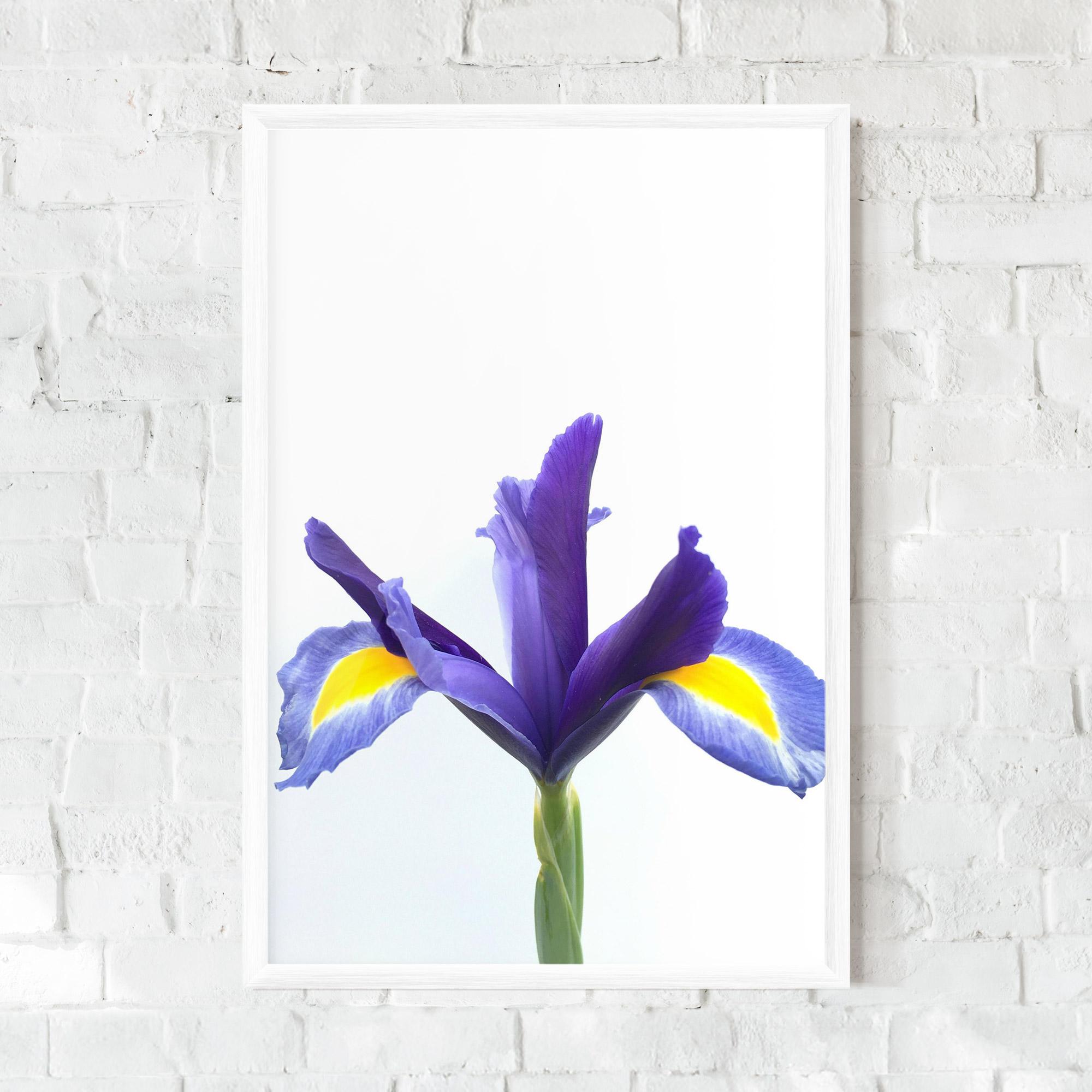 Gerahmte Poster Yellow Color Iris mockup 0