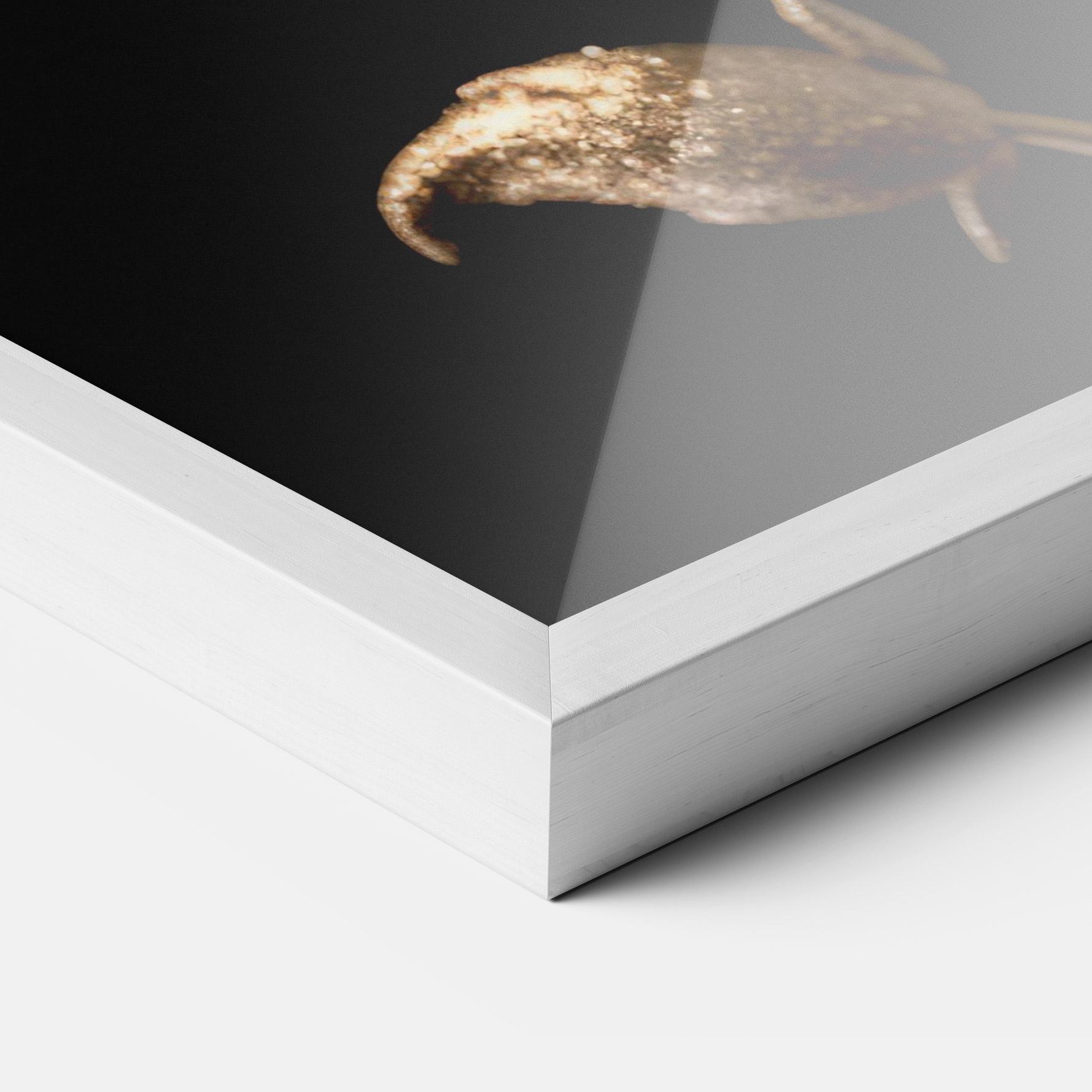 Gerahmte Poster Dark Red Poppy mockup 3