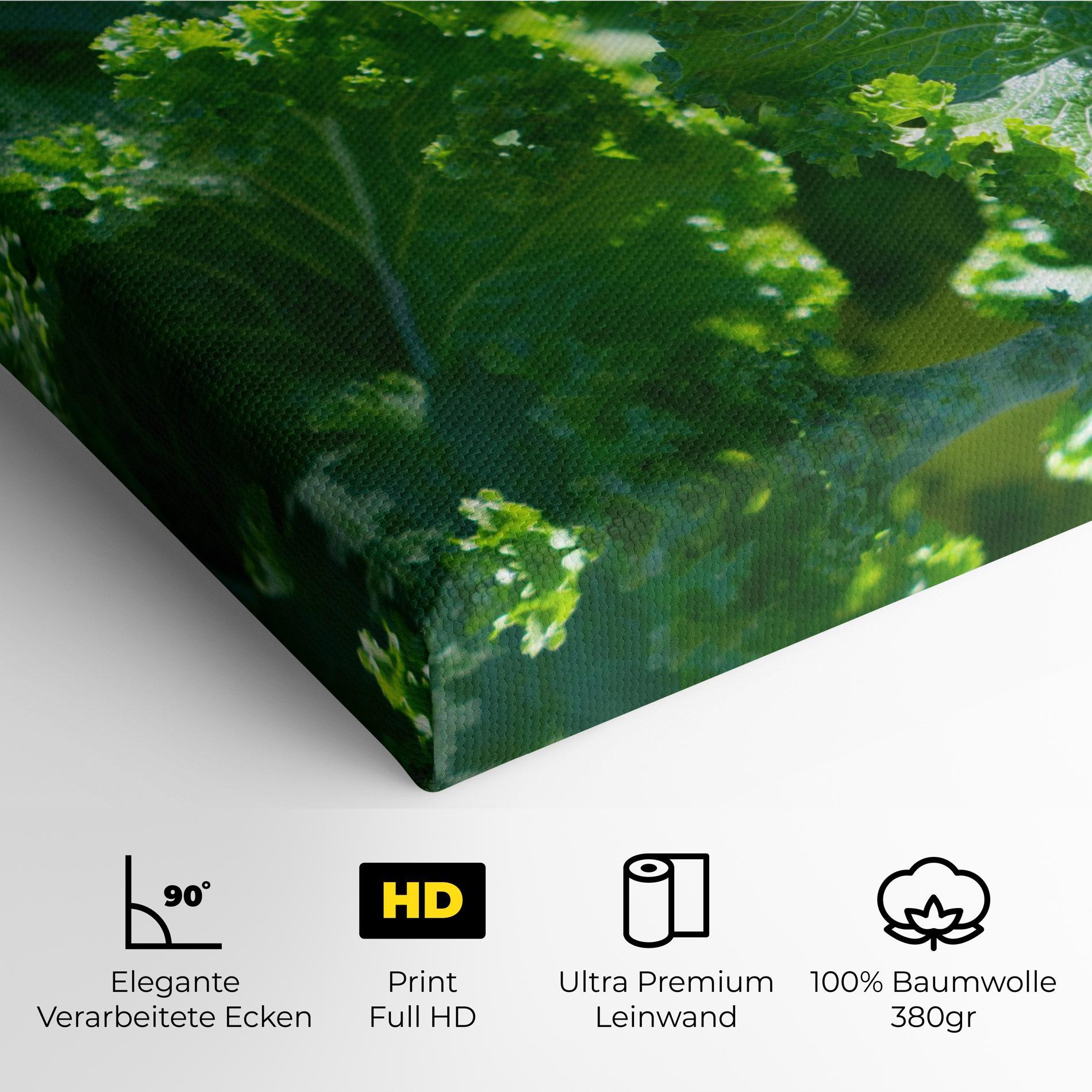Leinwandbild Lettuce View mockup 4