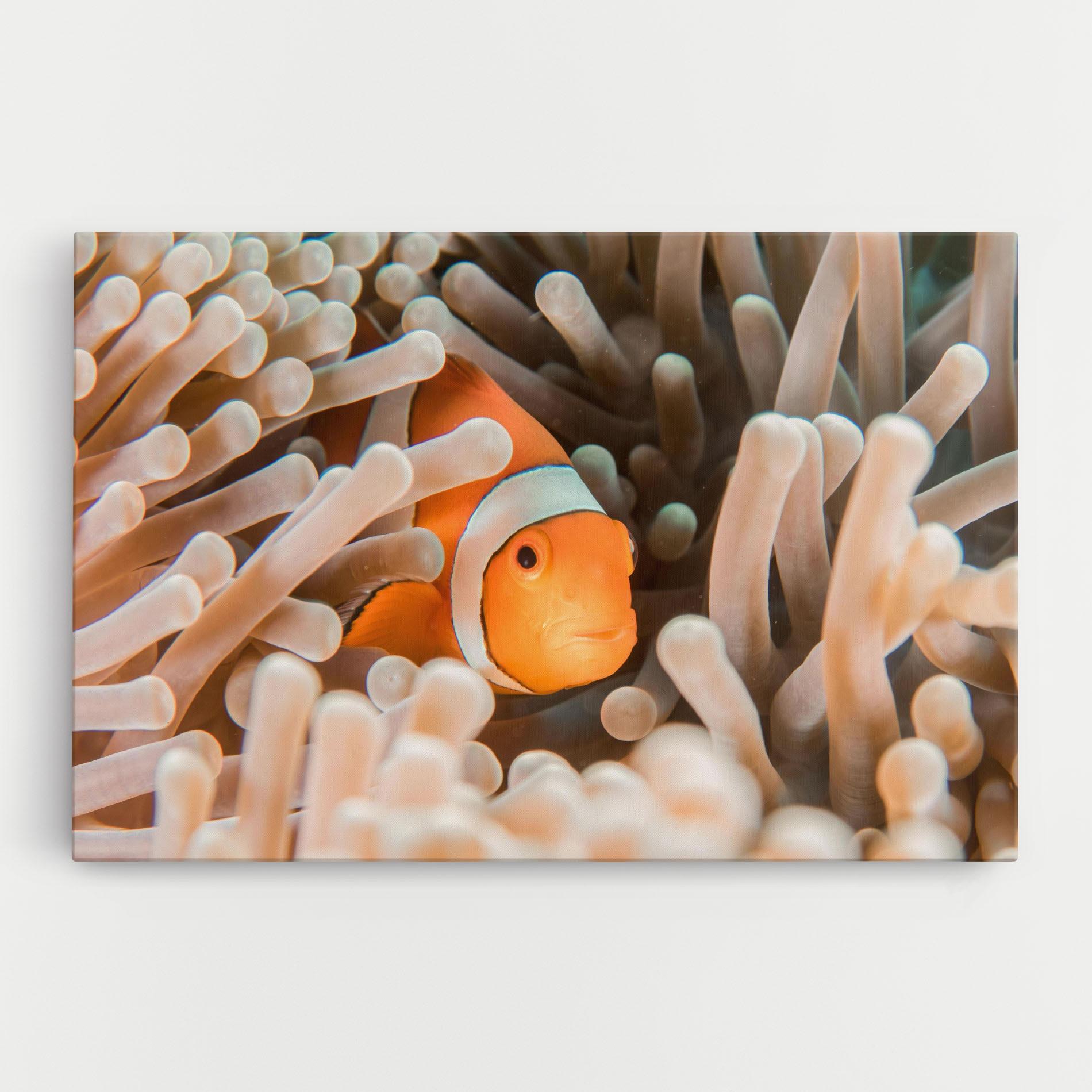 Leinwandbild Cute Nemo mockup 0