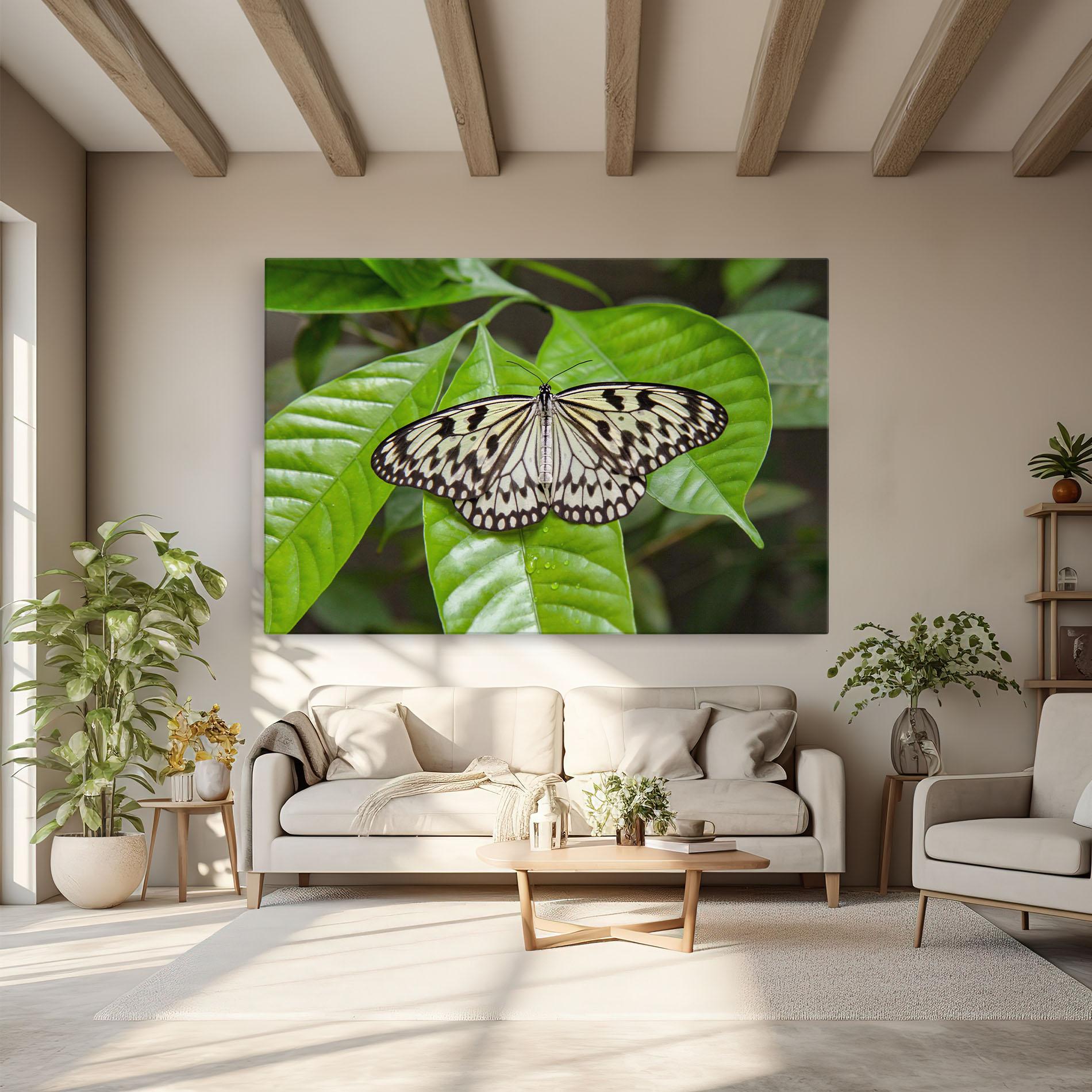 Leinwandbild Beautiful White Butterfly mockup 6