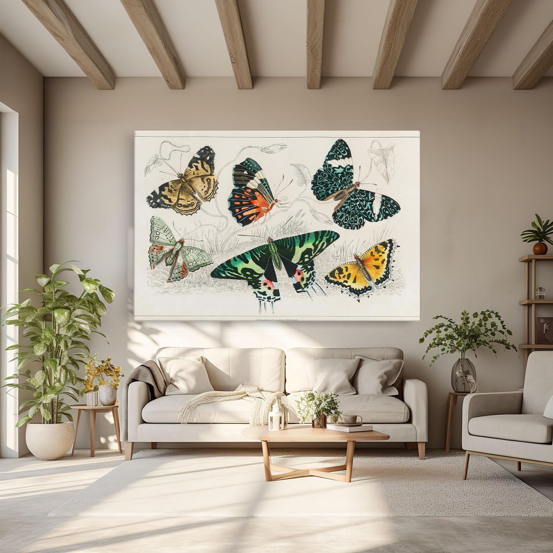 Leinwandbild Butterfly Art mockup 6