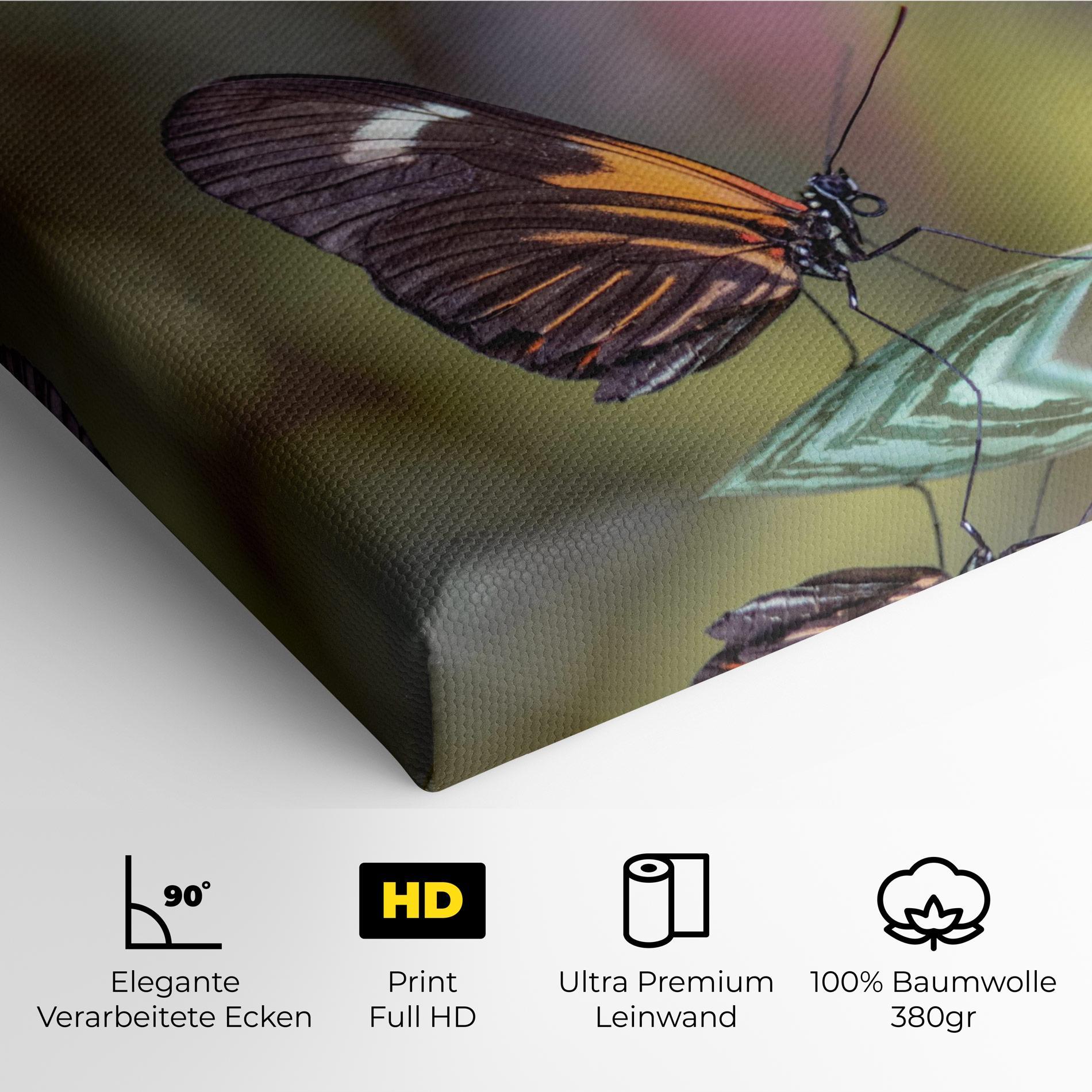 Leinwandbild Dark Purple Butterfly mockup 4