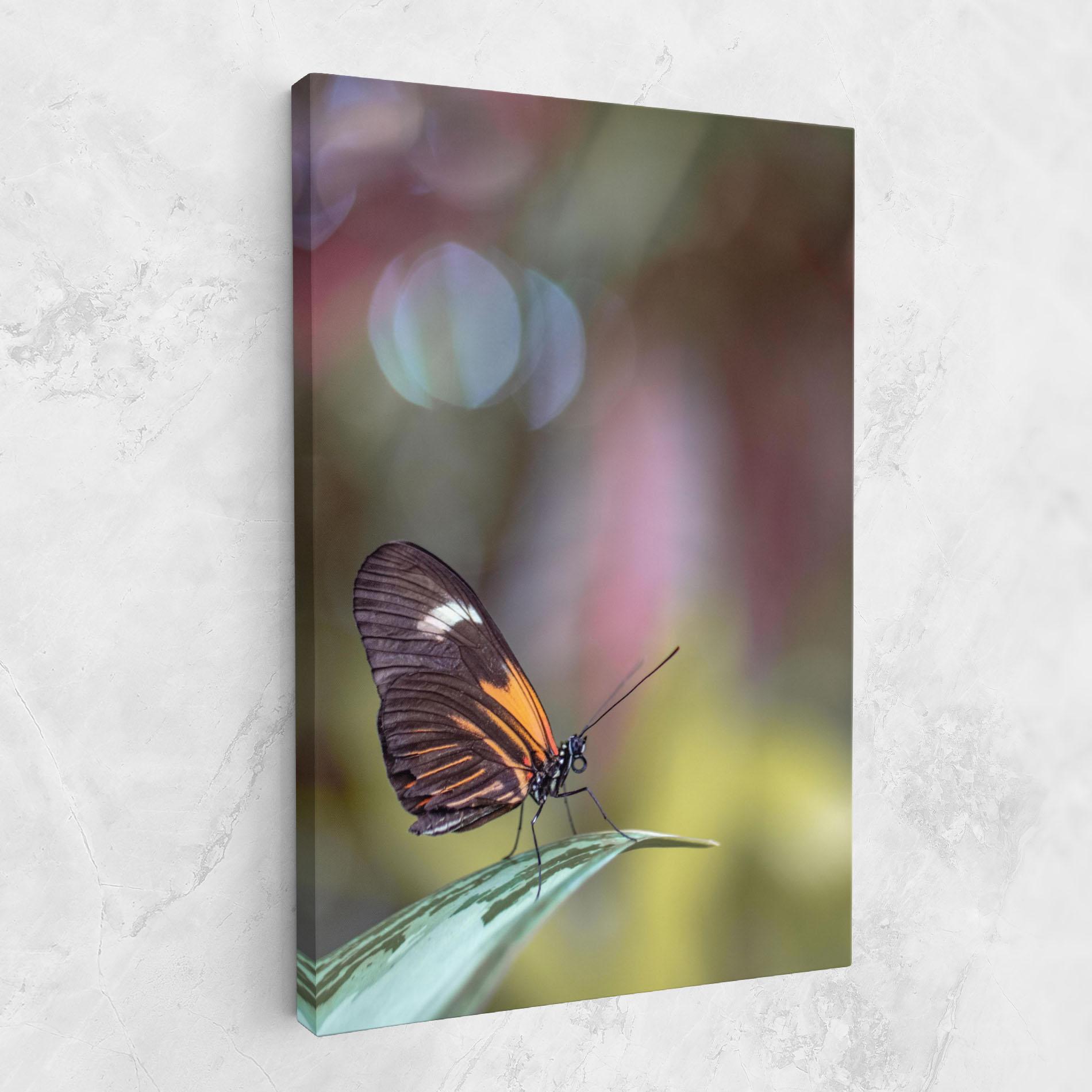Leinwandbild Dark Purple Butterfly mockup 1
