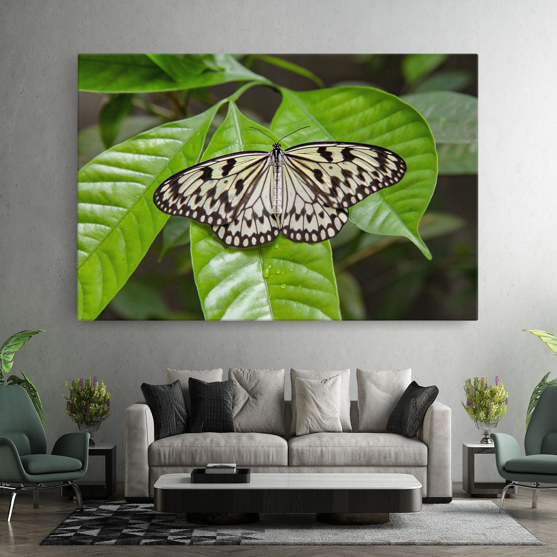Leinwandbild Beautiful White Butterfly mockup 7