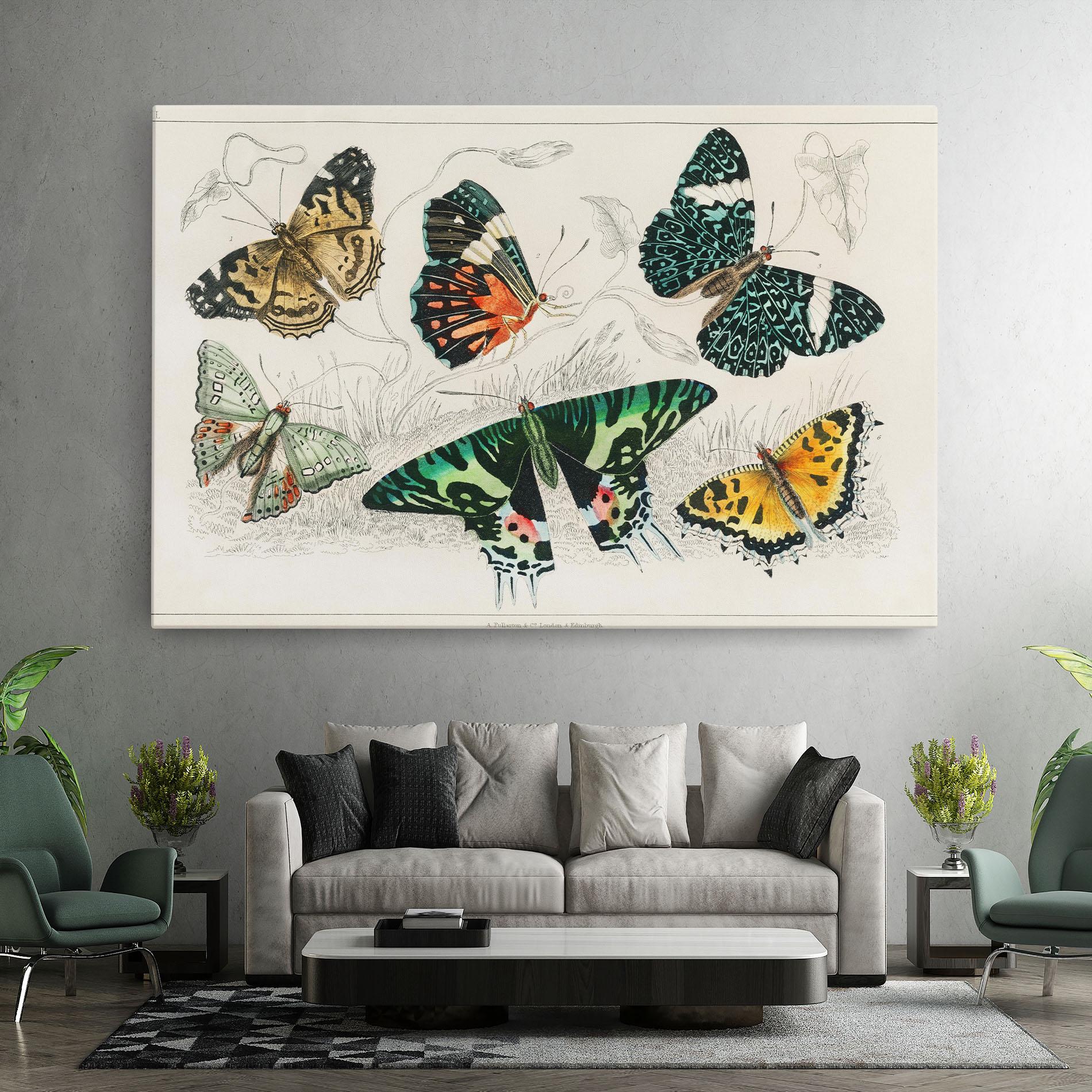 Leinwandbild Butterfly Art mockup 7
