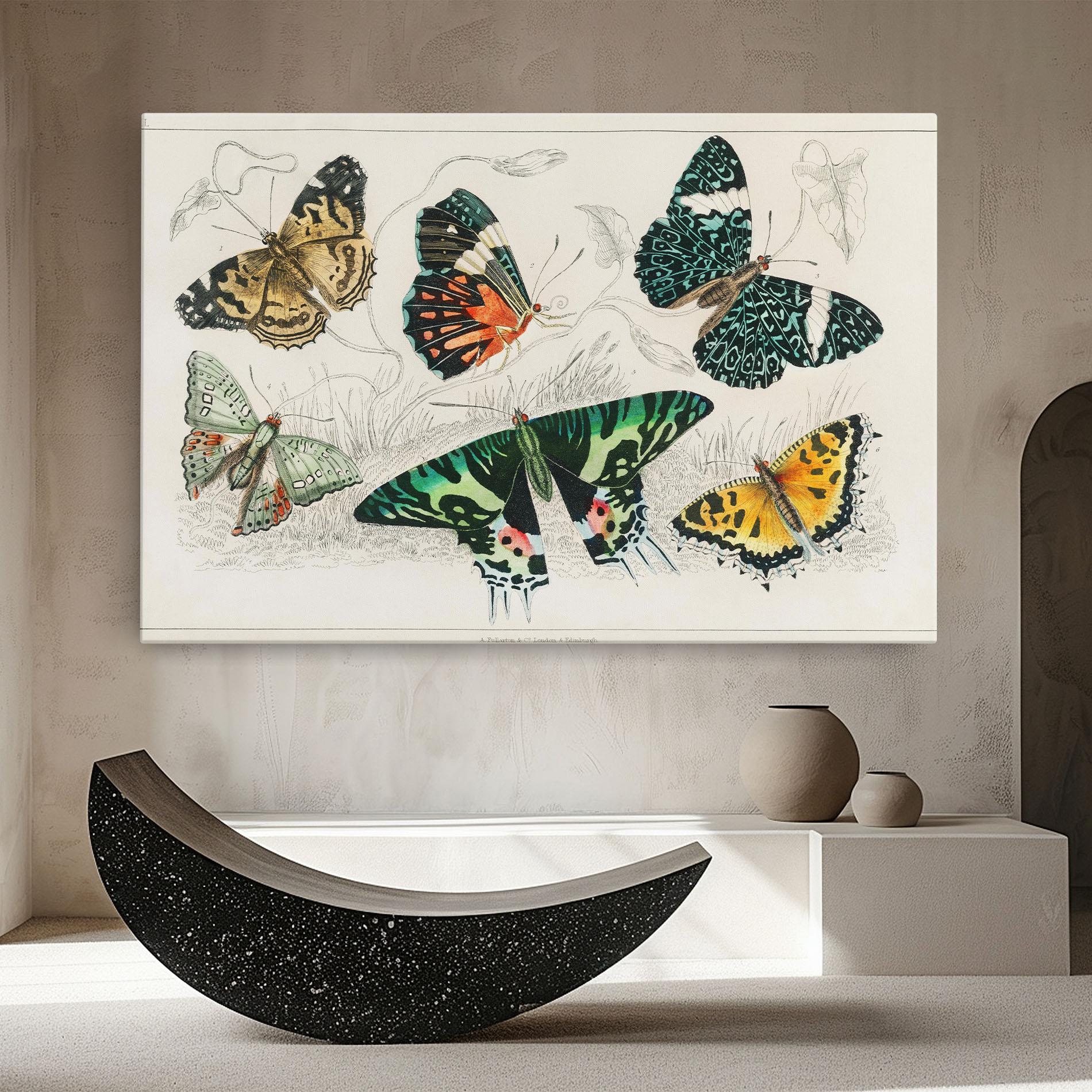 Leinwandbild Butterfly Art mockup 8