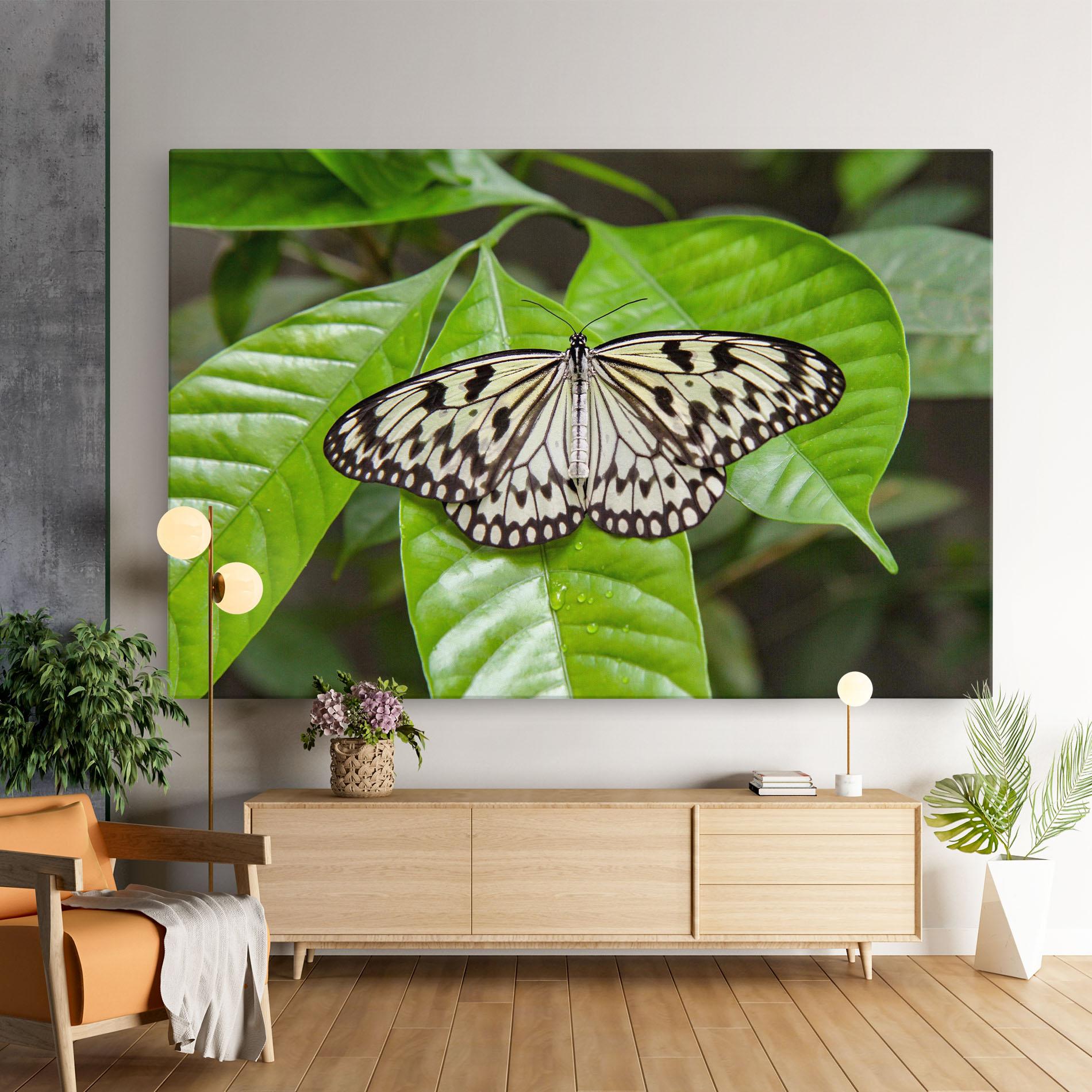 Leinwandbild Beautiful White Butterfly mockup 9