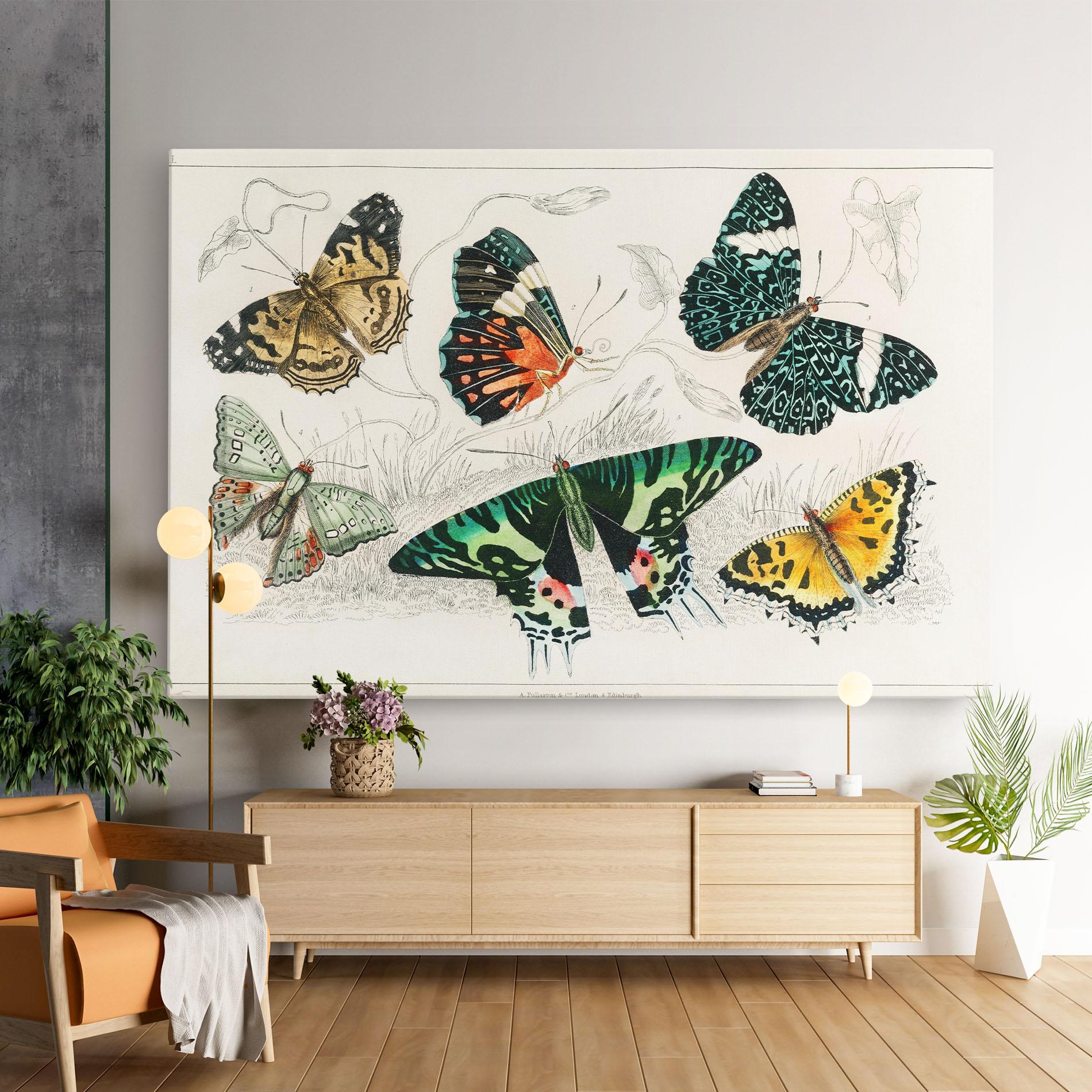 Leinwandbild Butterfly Art mockup 9