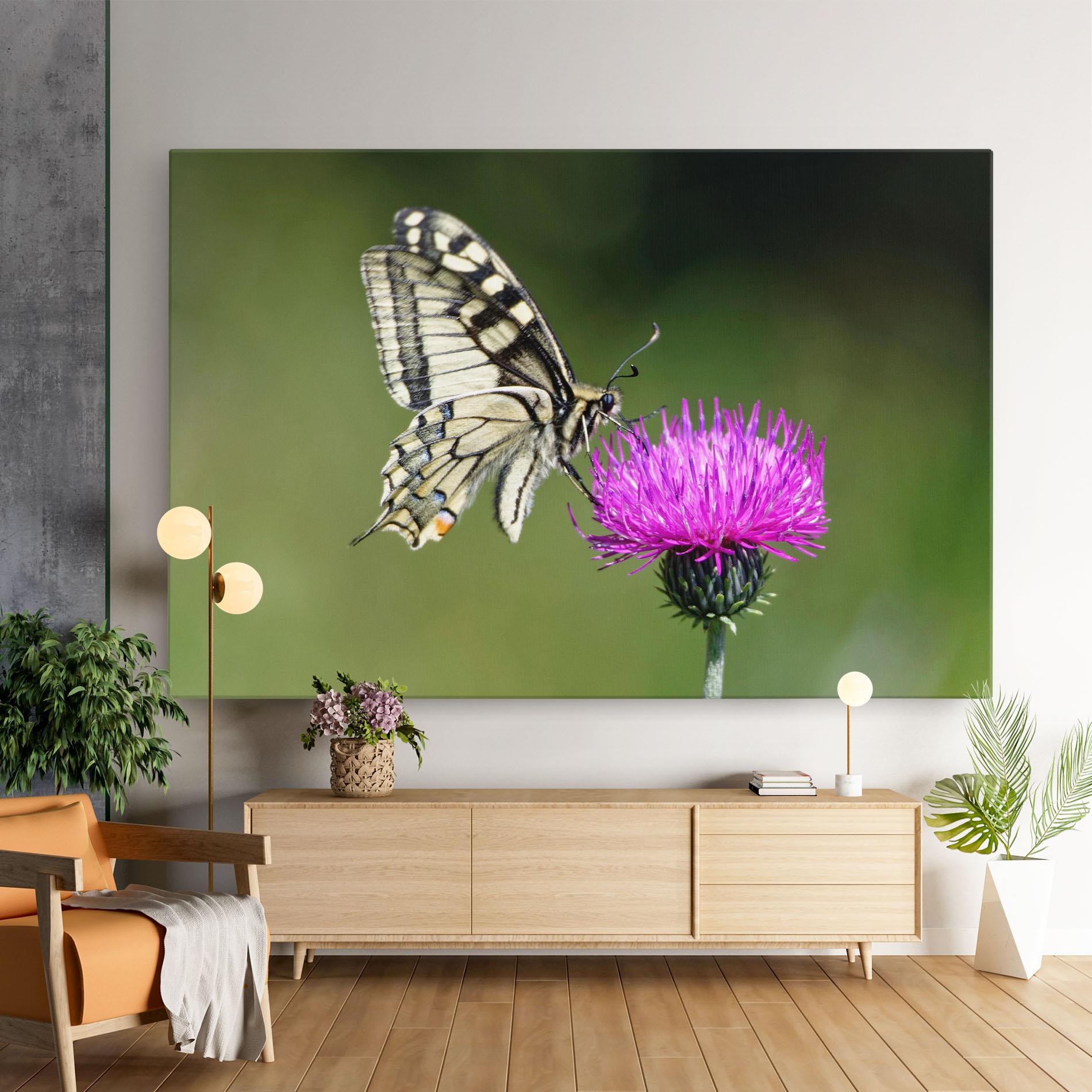 Leinwandbild White Butterfly Pollen mockup 9