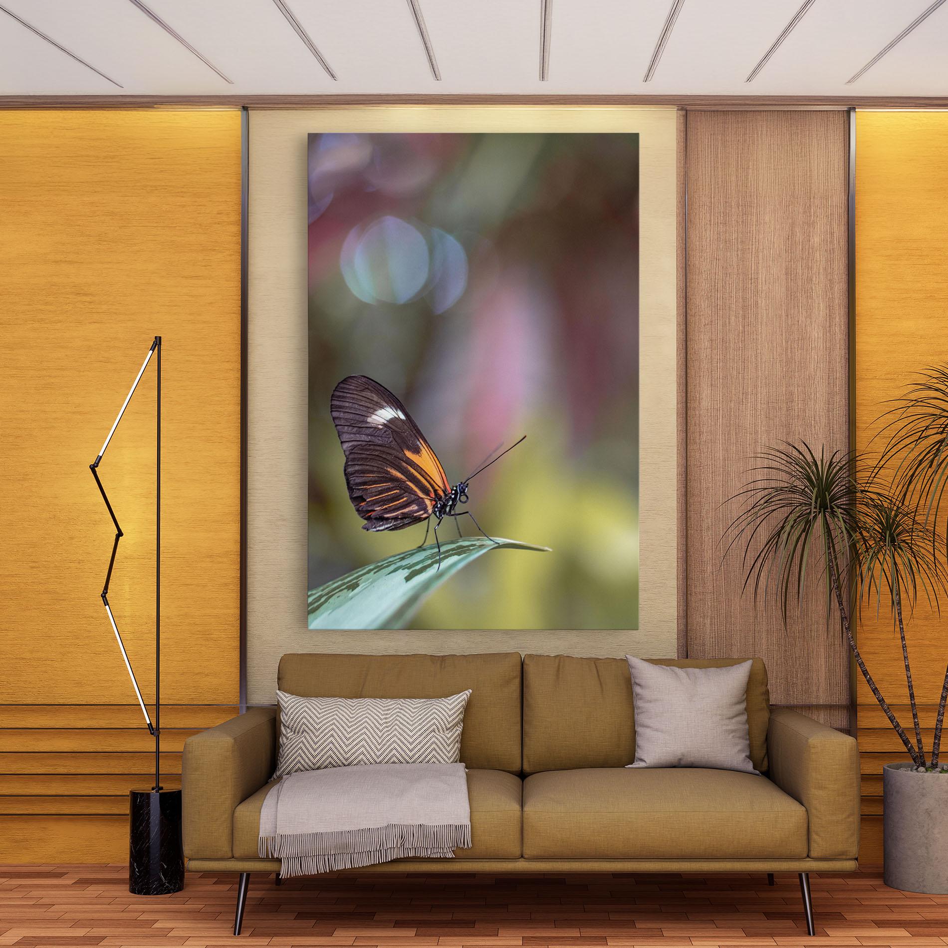 Leinwandbild Dark Purple Butterfly mockup 9