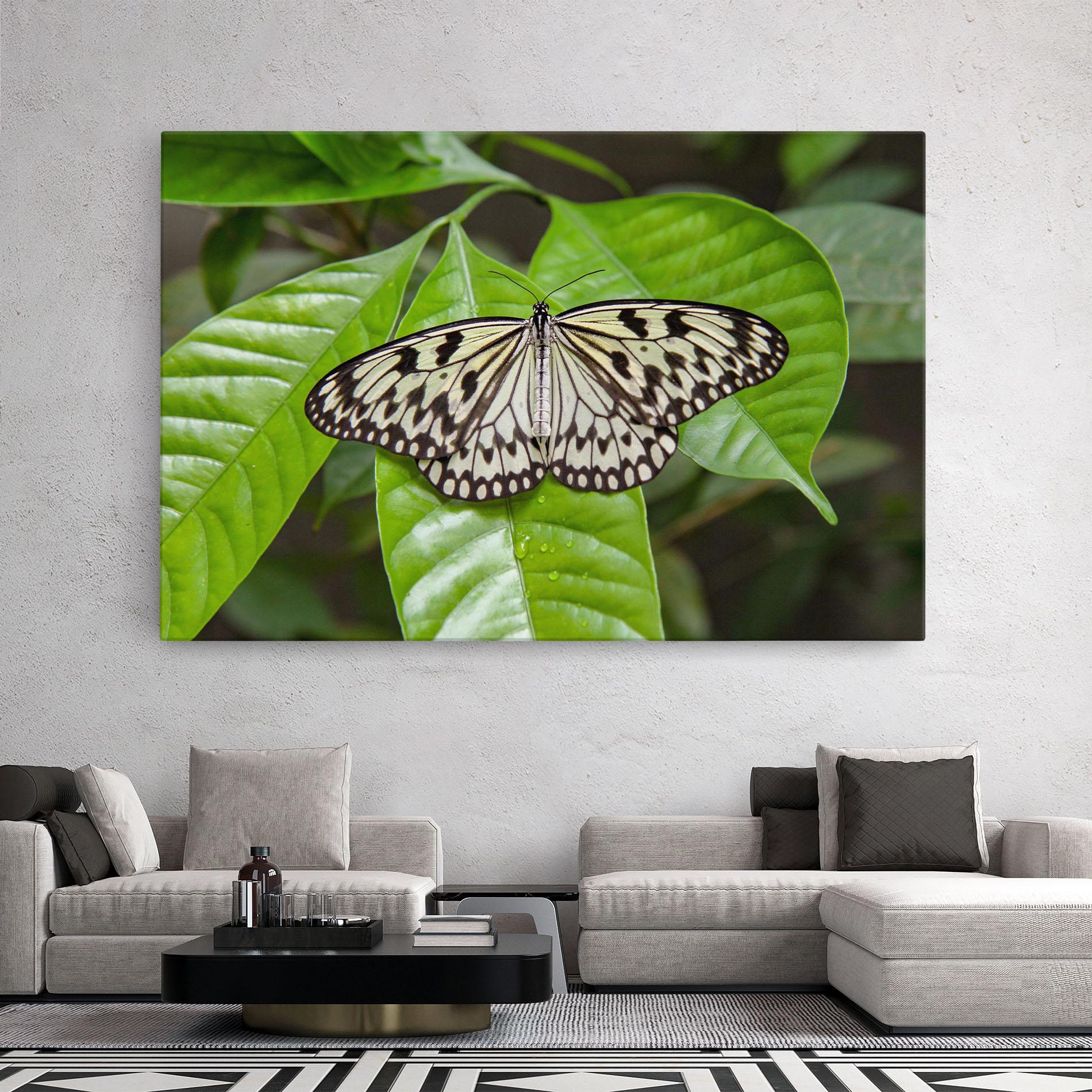 Leinwandbild Beautiful White Butterfly mockup 2