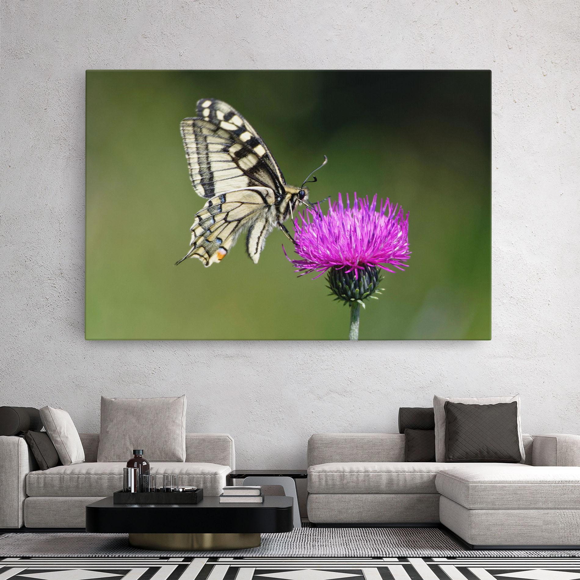 Leinwandbild White Butterfly Pollen mockup 2