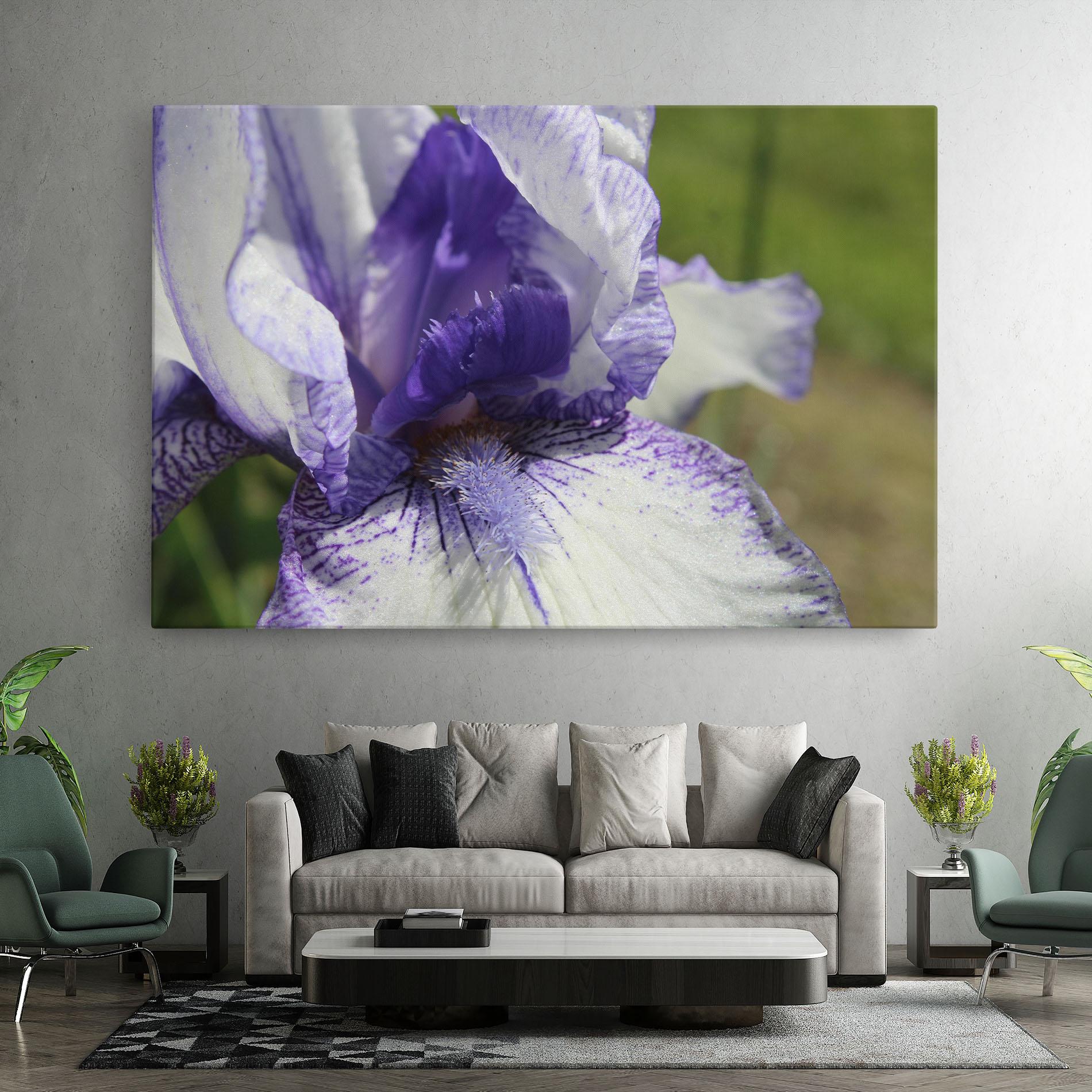 Leinwandbild White Purple Iris mockup 7