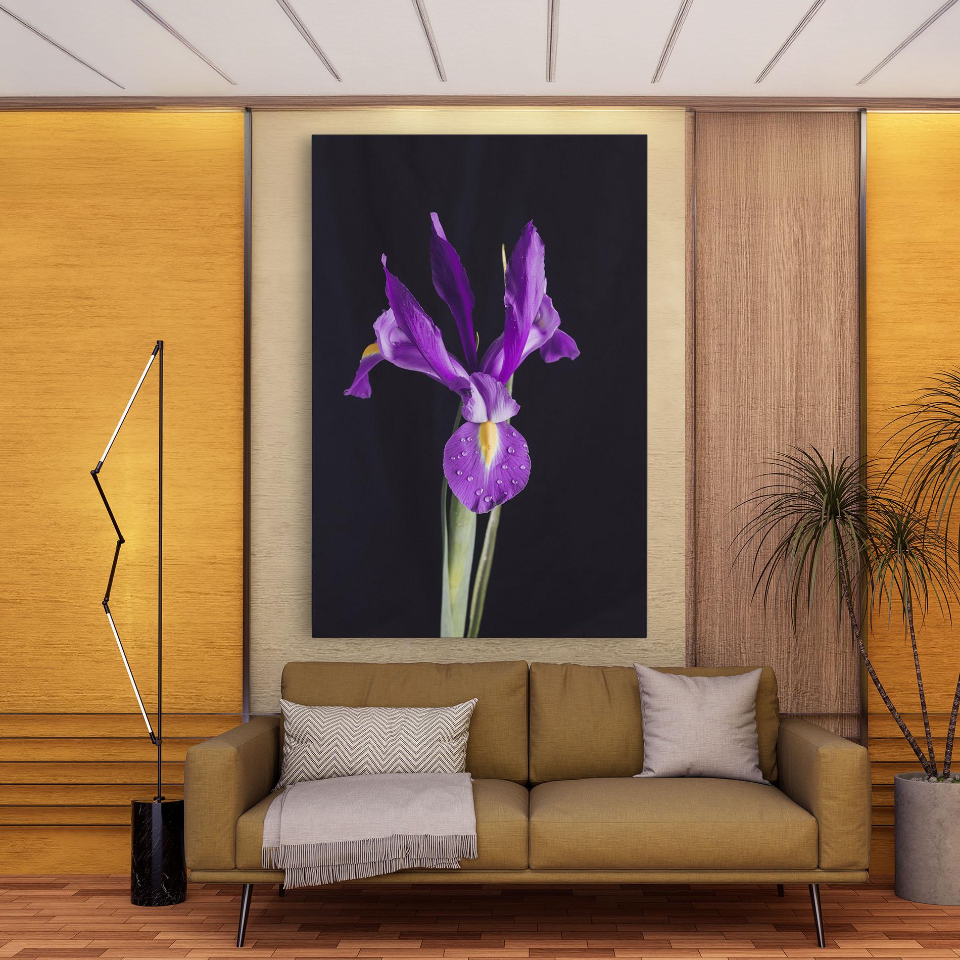Leinwandbild Fresh Purple Iris mockup 9