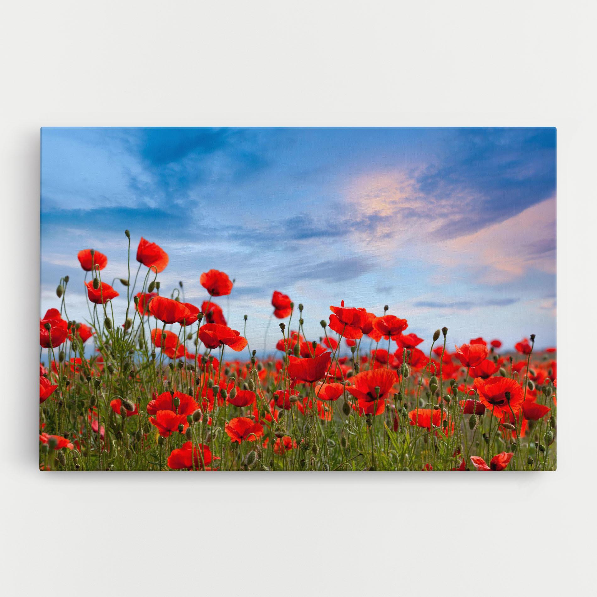 Leinwandbild Poppy Field mockup 0