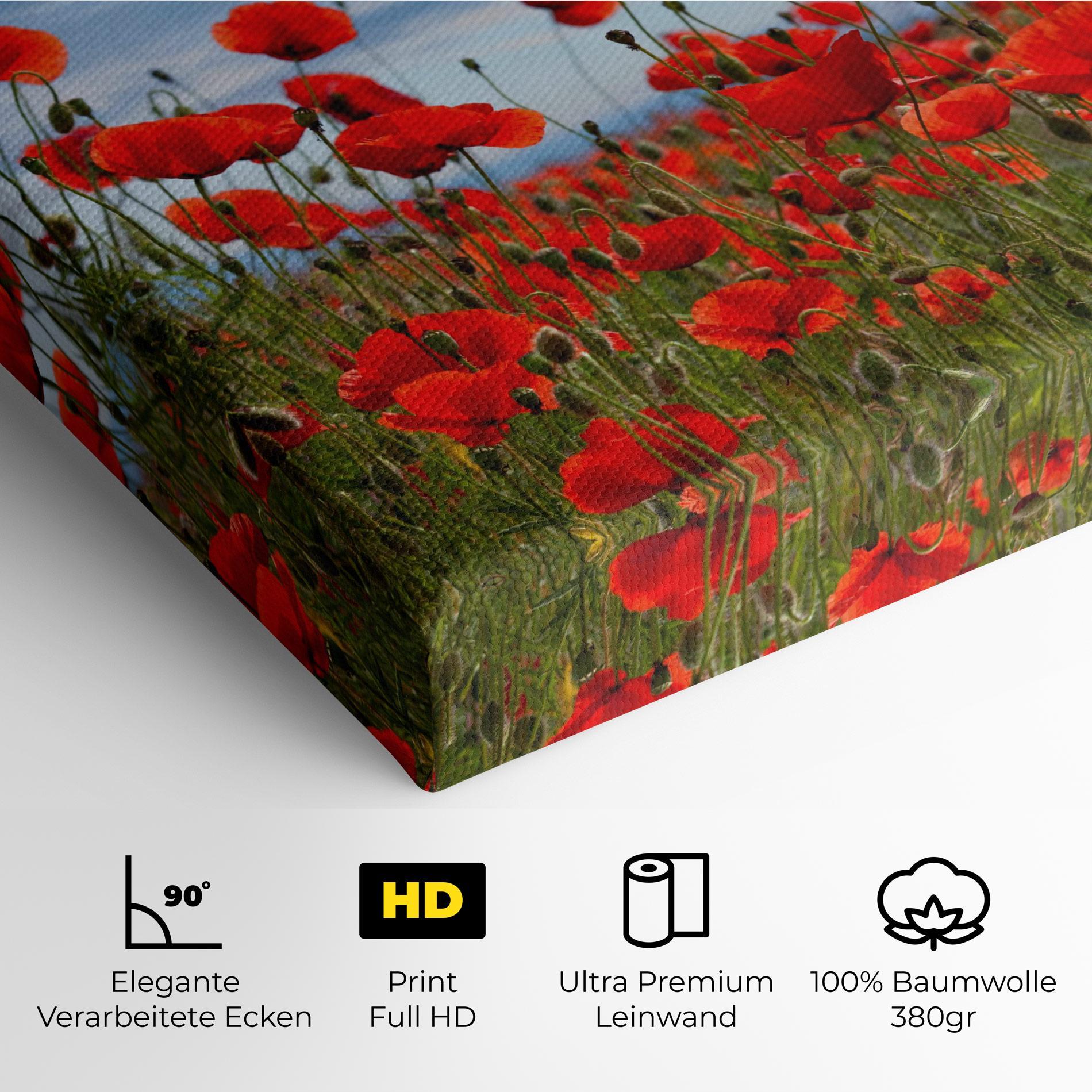 Leinwandbild Poppy Field mockup 4