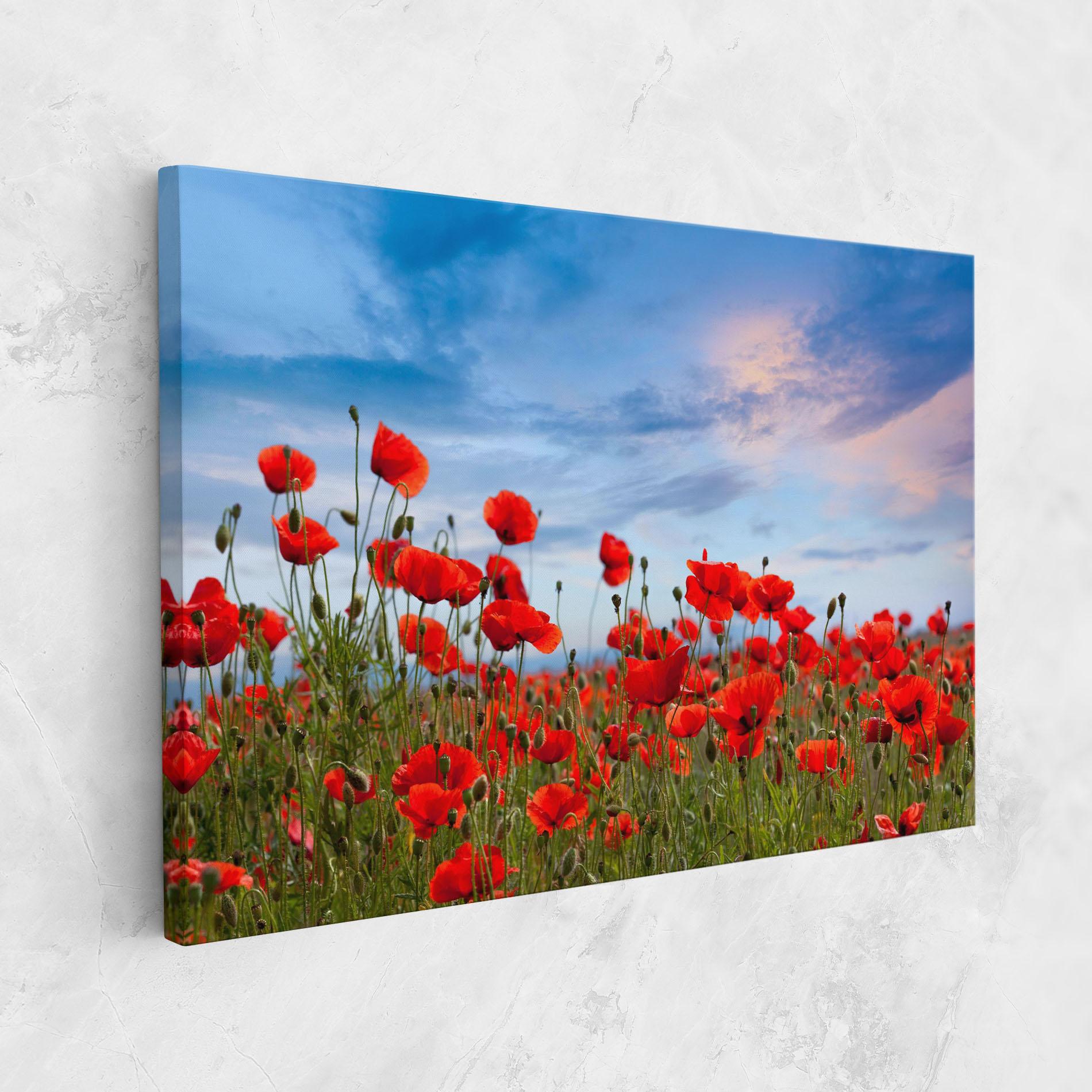 Leinwandbild Poppy Field mockup 1