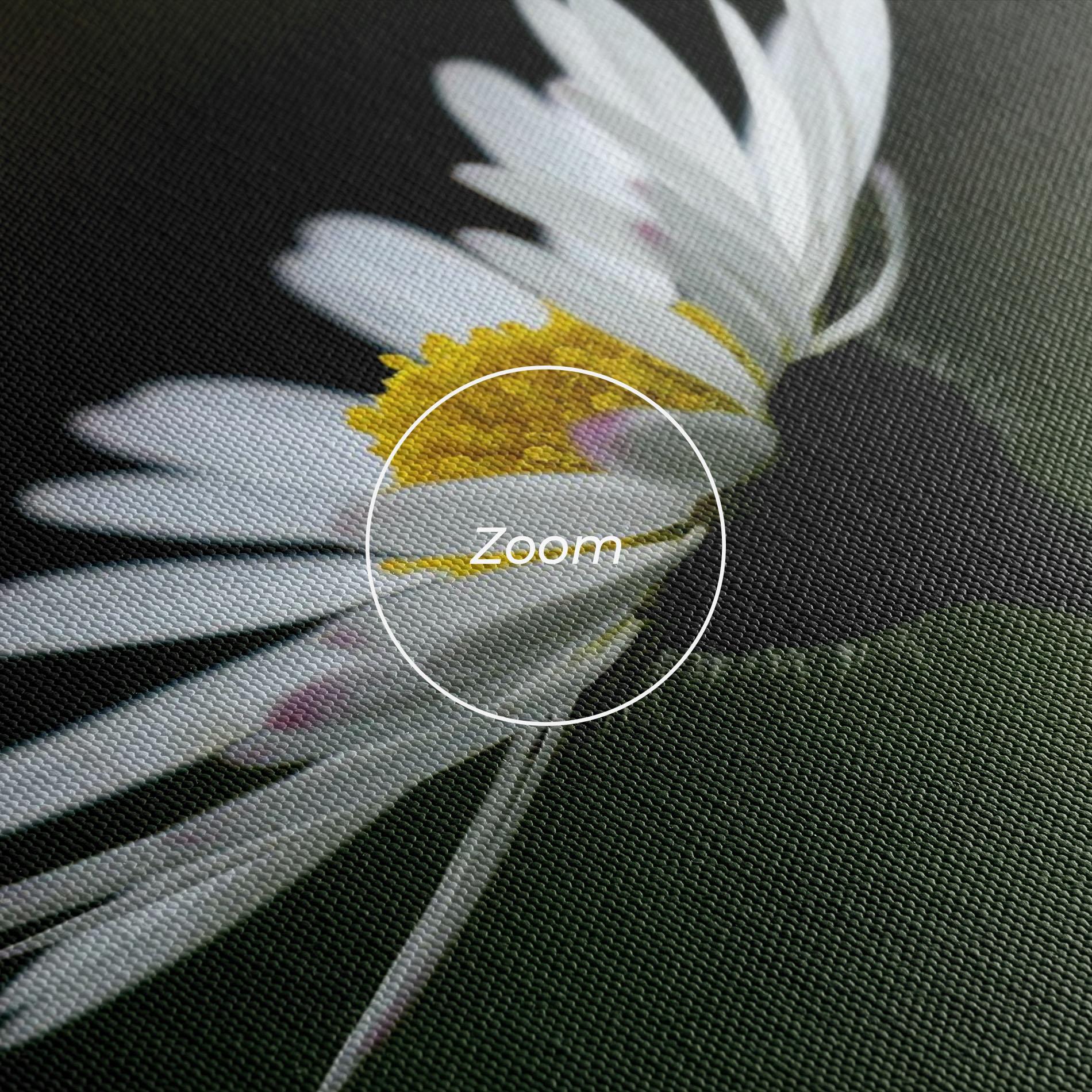 Leinwandbild Garden Daisy mockup 3