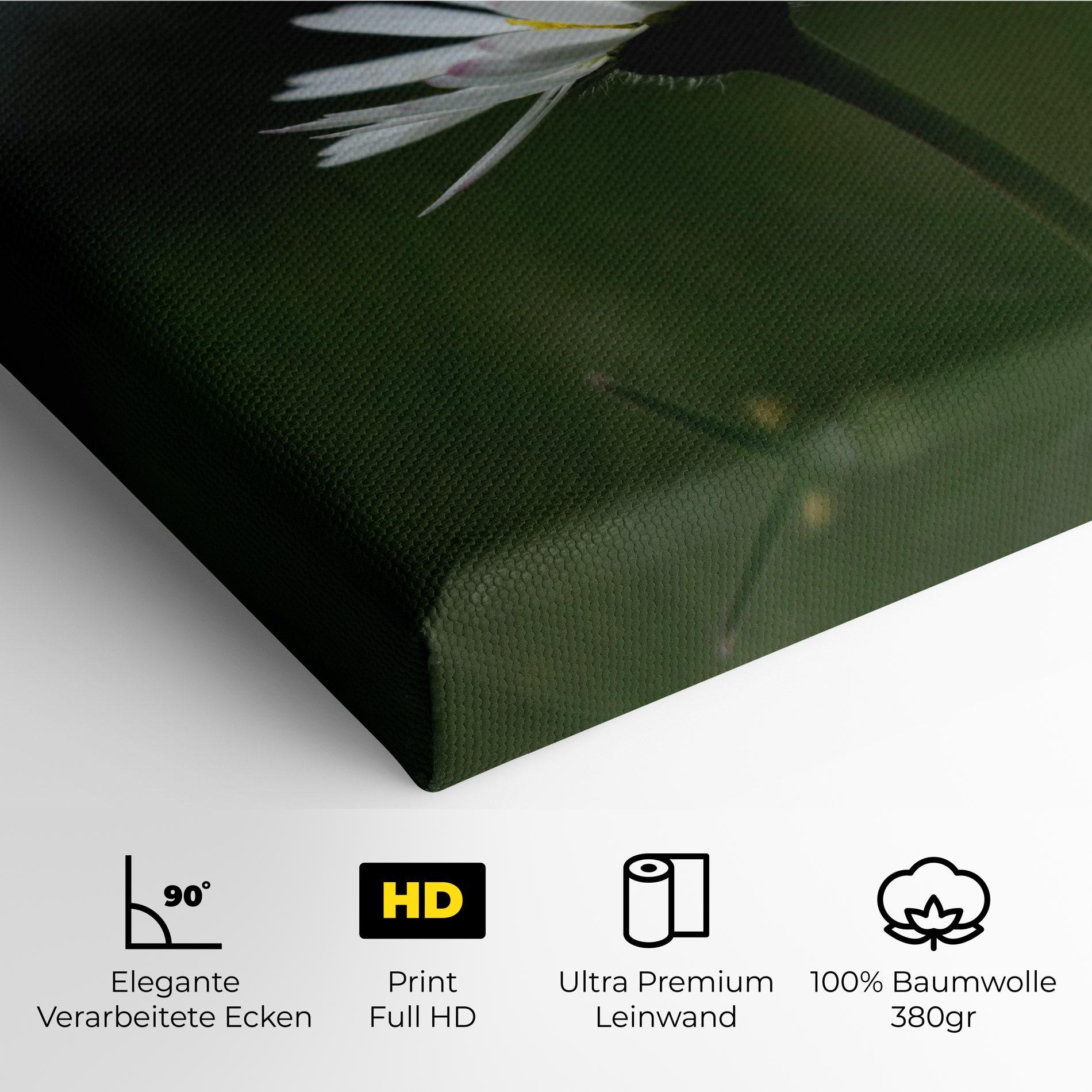 Leinwandbild Garden Daisy mockup 4
