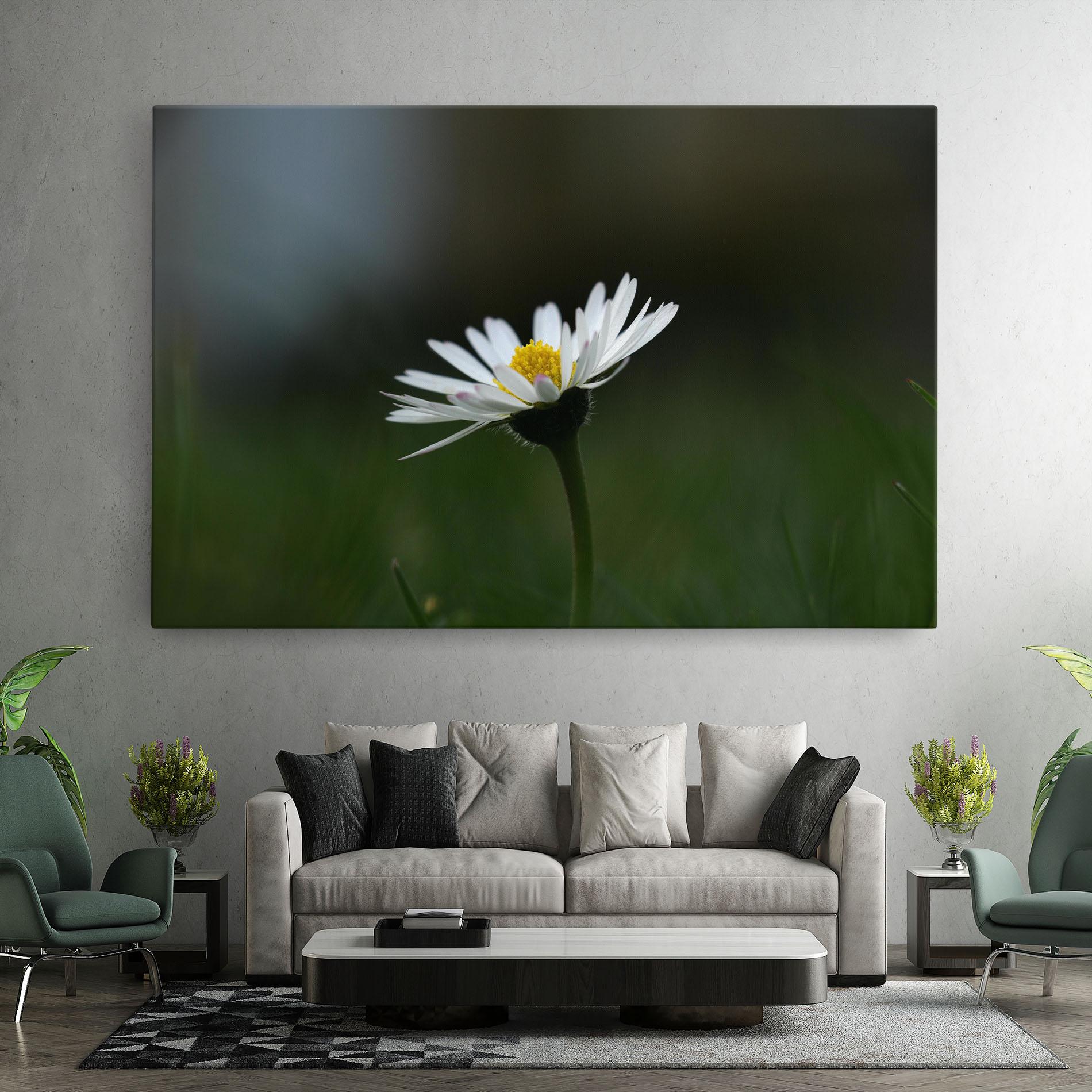Leinwandbild Garden Daisy mockup 7
