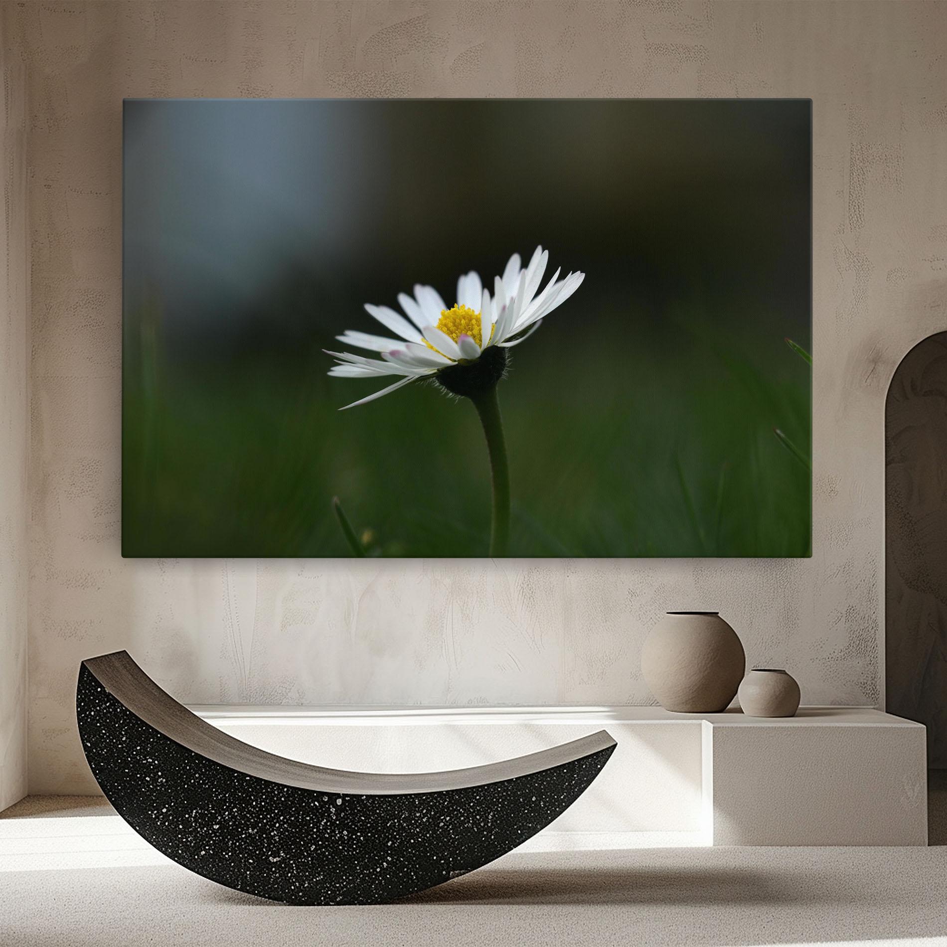 Leinwandbild Garden Daisy mockup 8