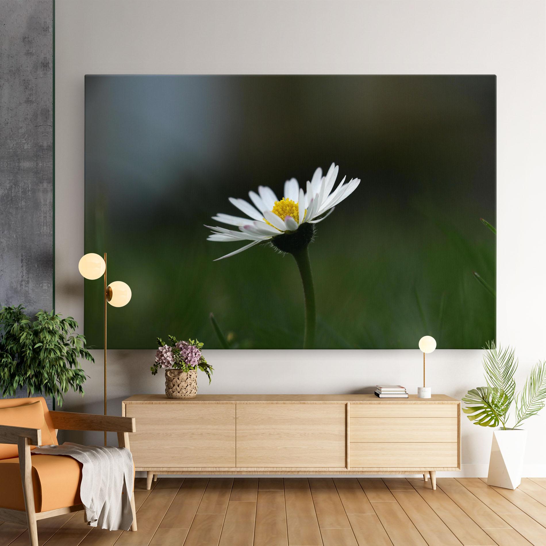 Leinwandbild Garden Daisy mockup 9