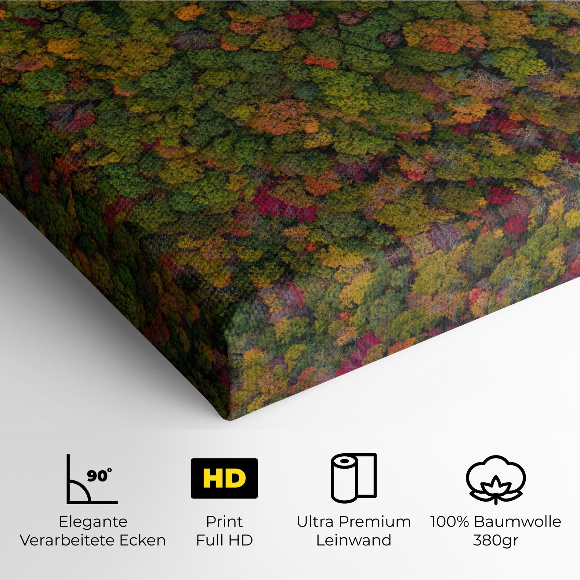 Leinwandbild Color Mix Forest mockup 4