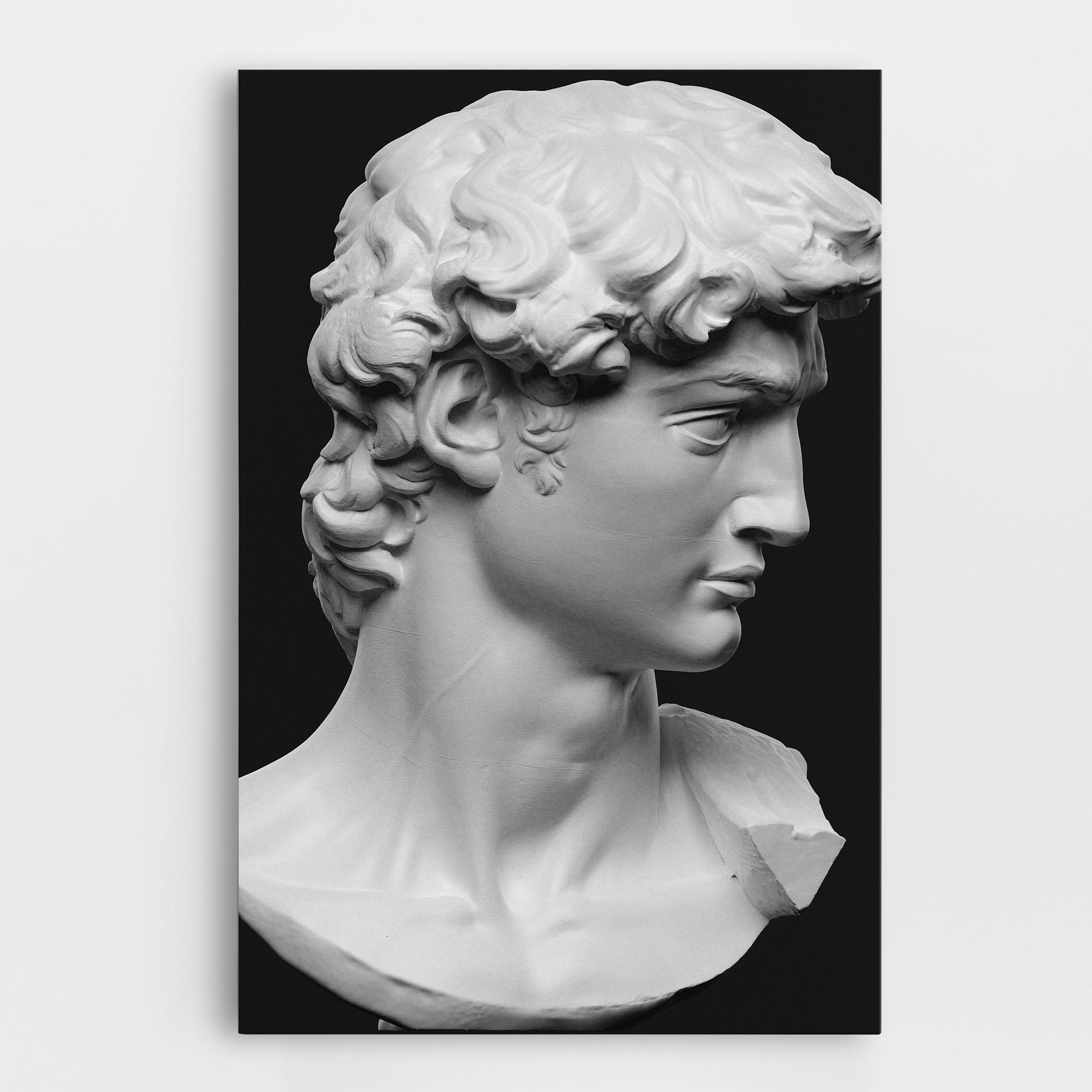 Leinwandbild David Head mockup 0